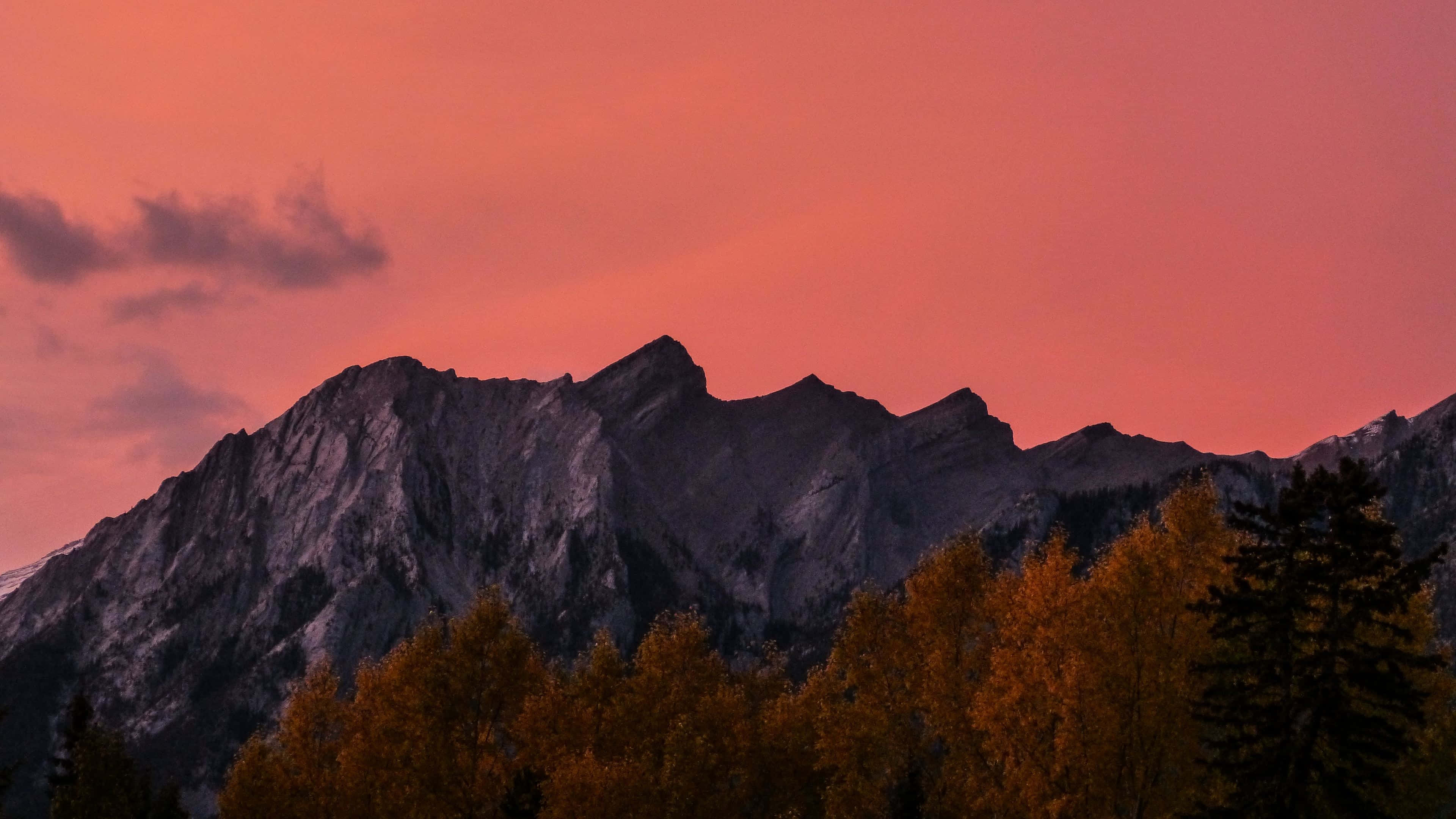 colorful sunset, fiery pink sunset sky, golden autumn trees, 4K Desktop Wallpaper