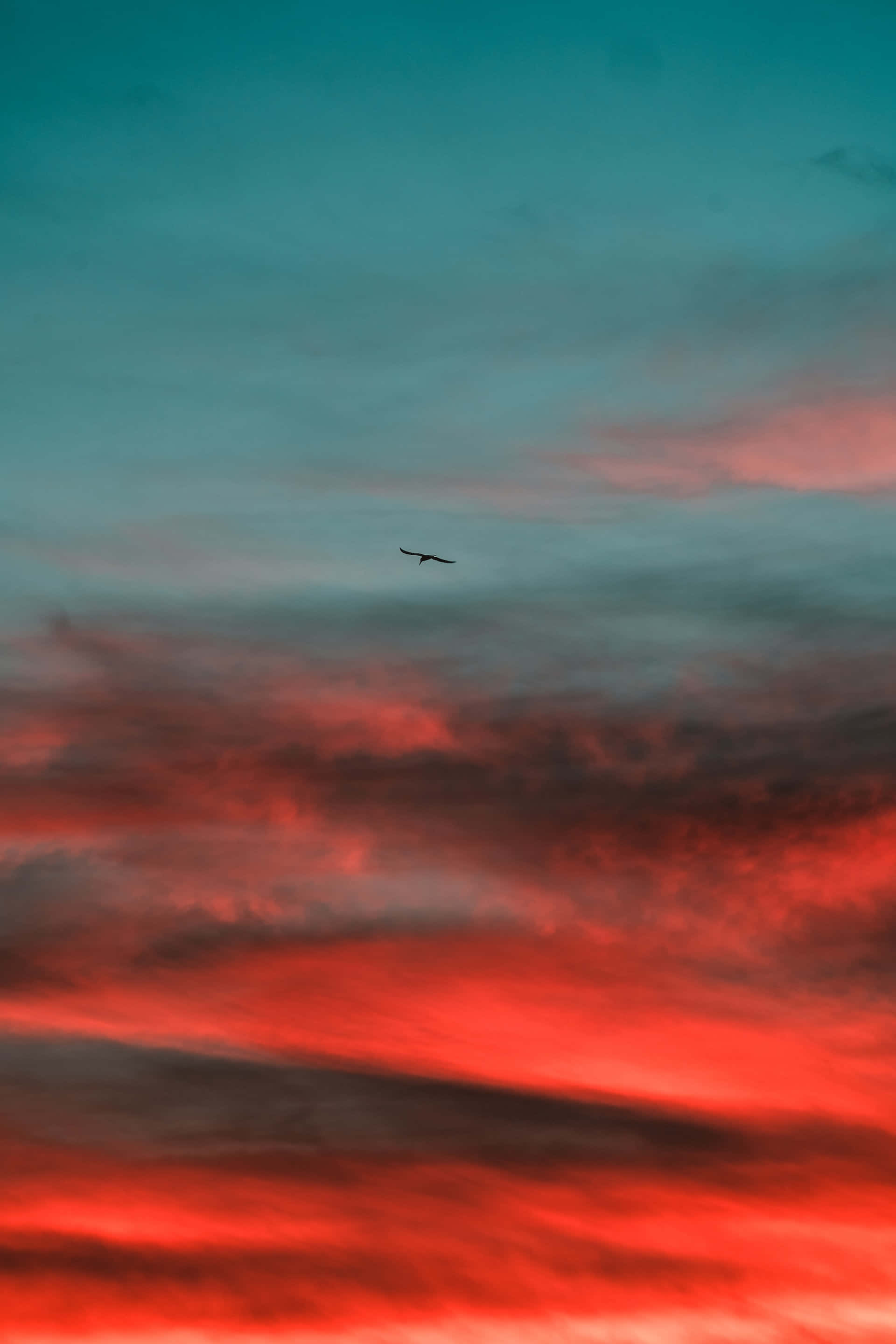 Colorful Sunset, dramatic sky, fiery red clouds, 2K Phone Wallpaper
