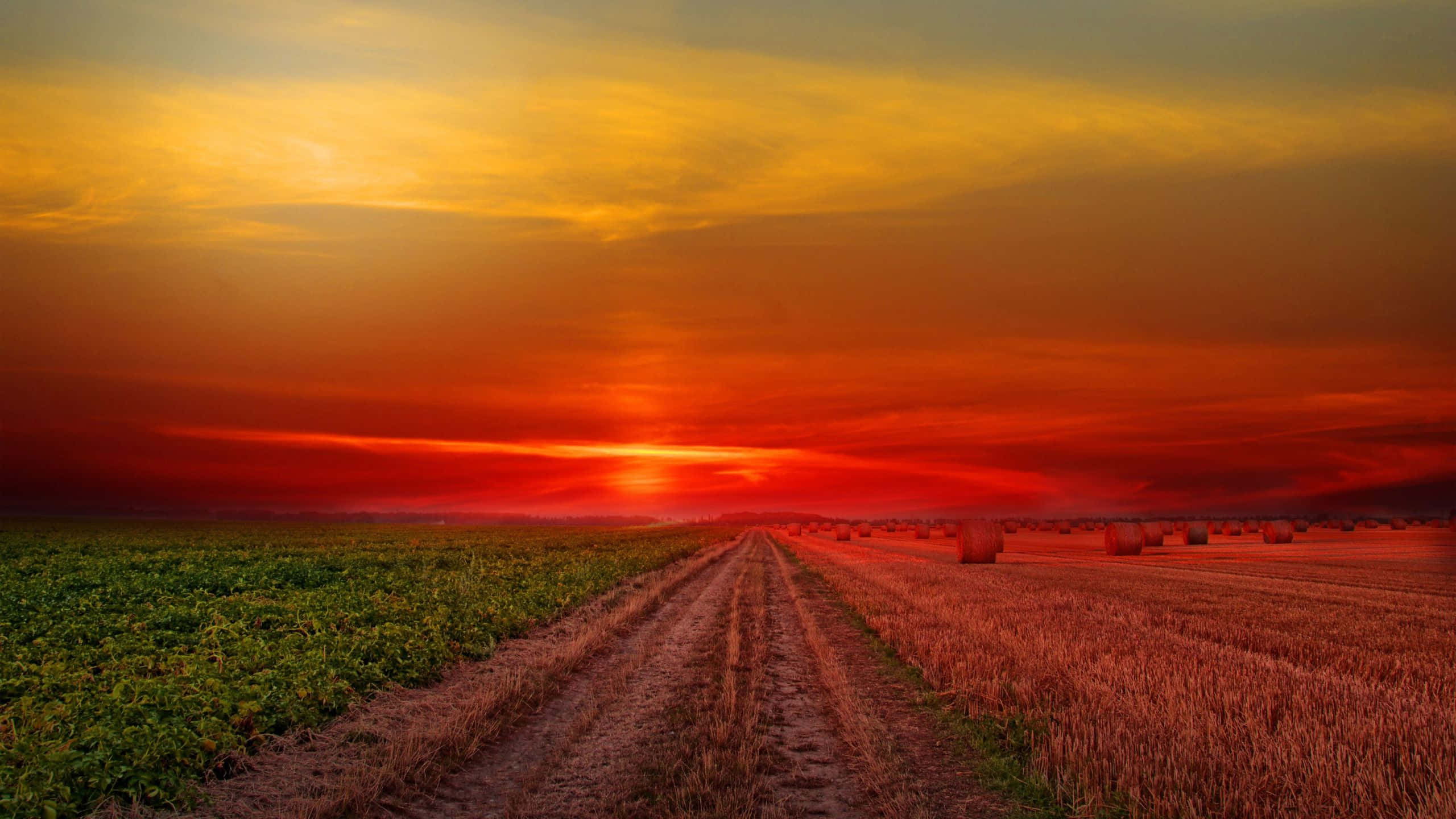 Colorful Sunset, fiery orange and red sunset sky, dirt road, 2K Desktop Wallpaper