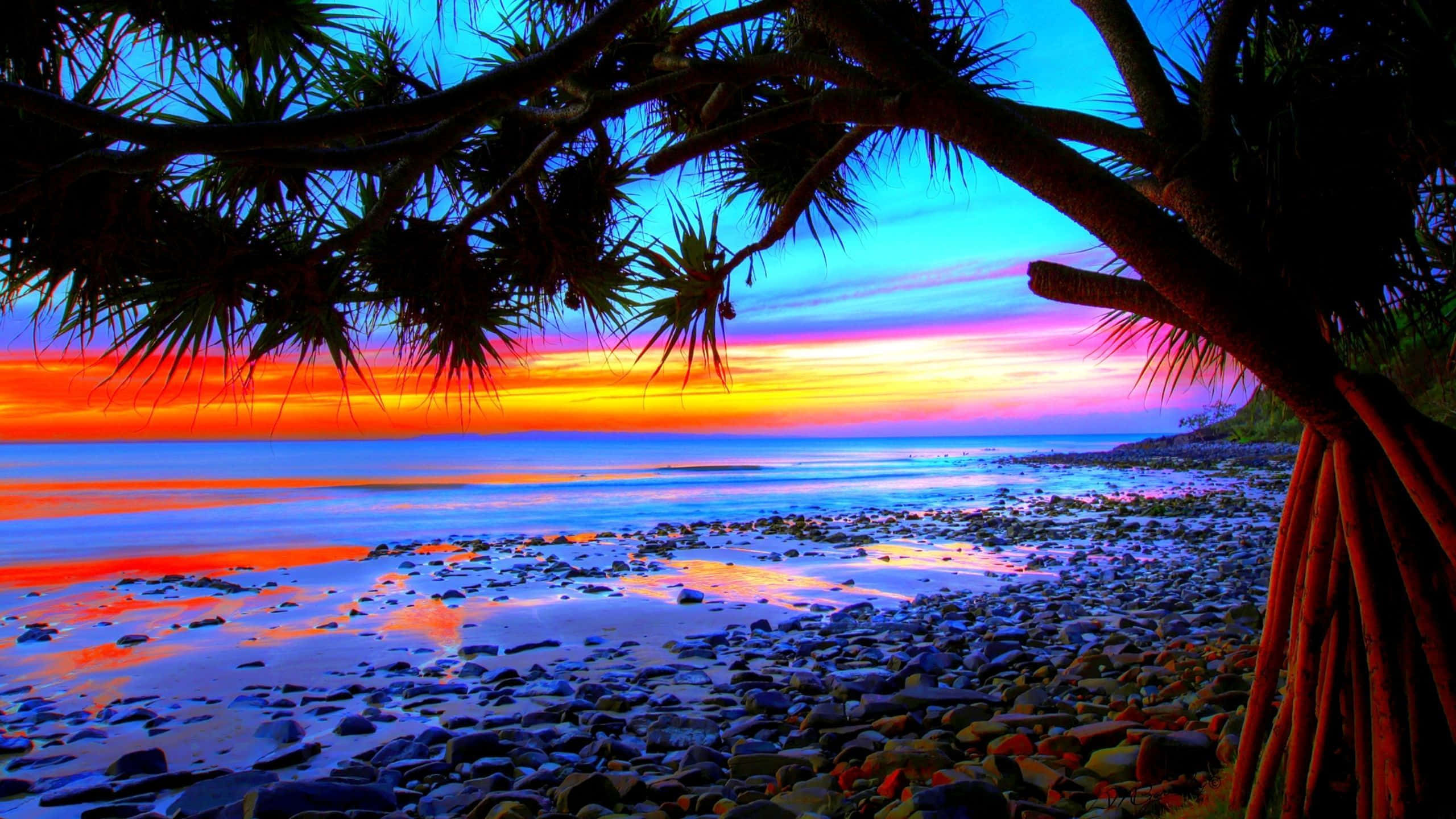 Colorful Sunset, fiery orange, deep blue, 2K Desktop Wallpaper