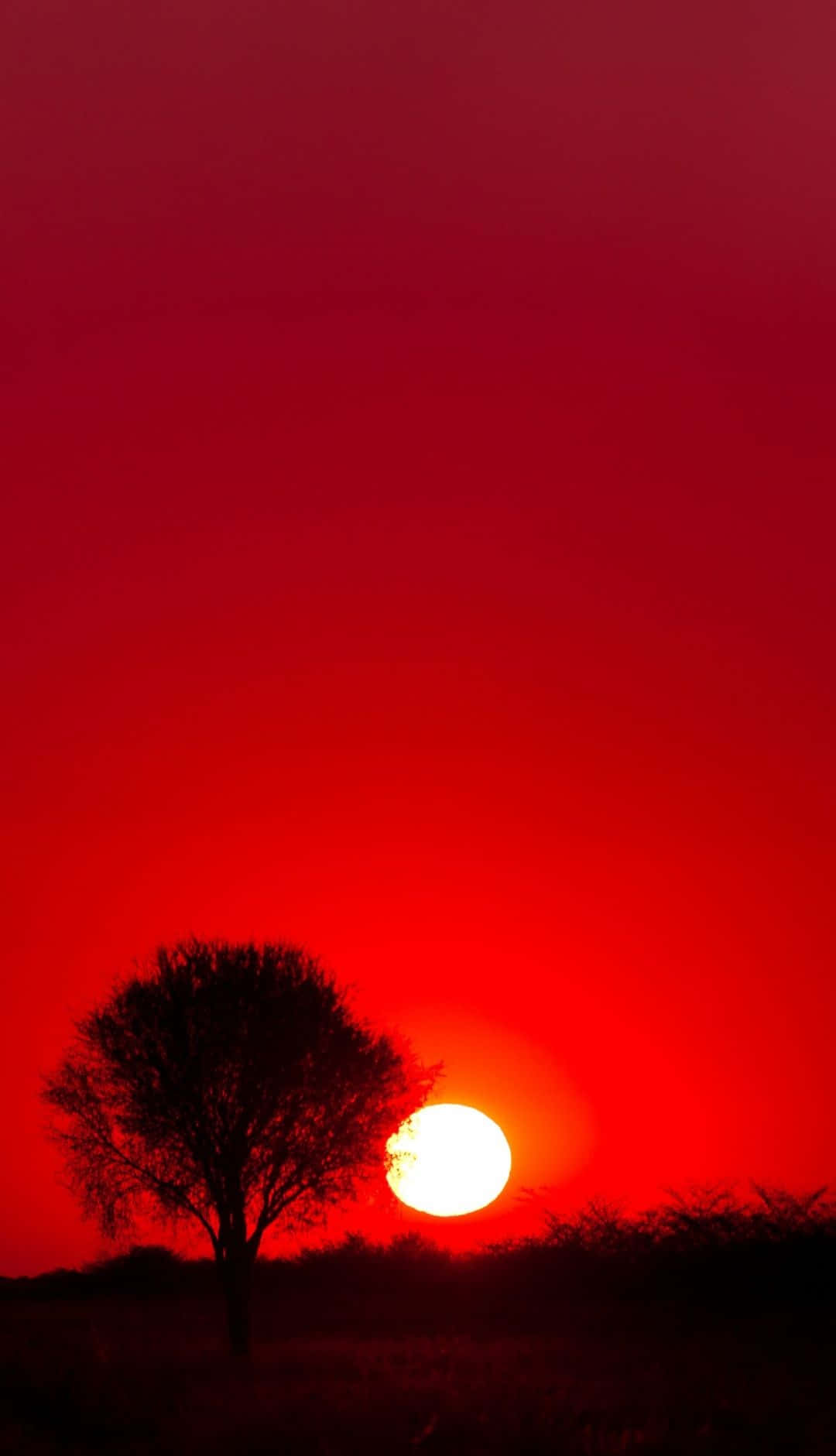 Red Sunset, fiery red sunset, glowing sun, HD Phone Wallpaper