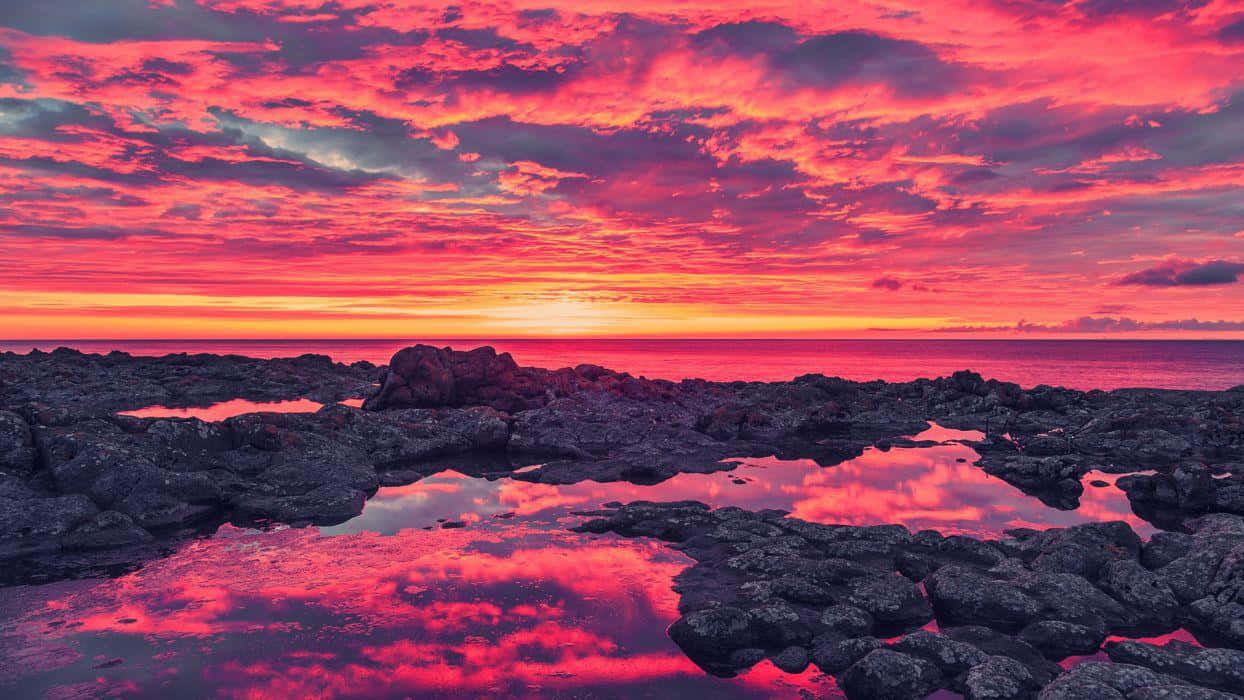 vibrant sunset, pink and orange sunset clouds, tidal pools, SD Desktop Wallpaper