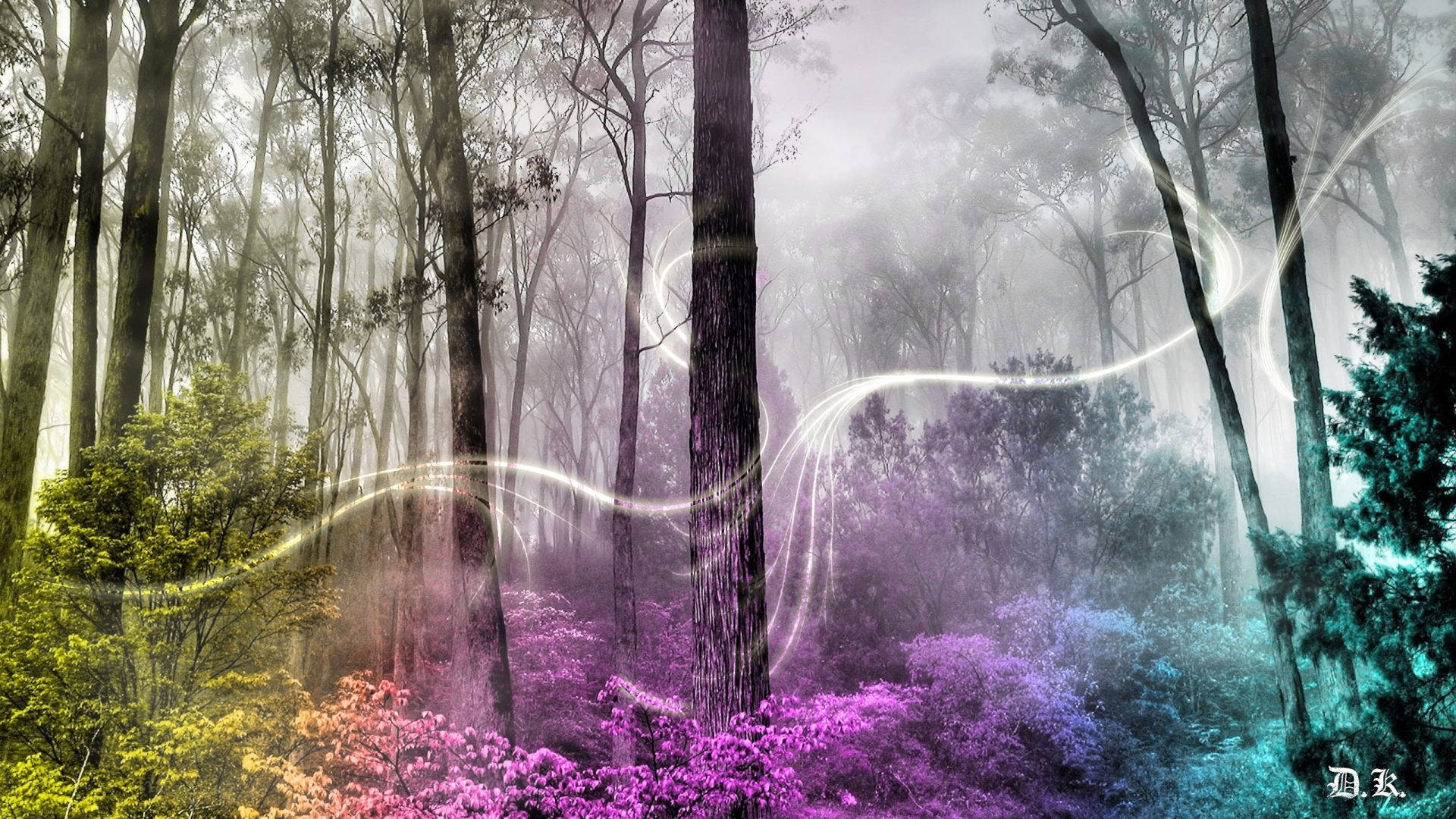 Tri-Colored Enchanted Forest, misty forest, glowing ethereal light trails, Full HD Desktop Wallpaper