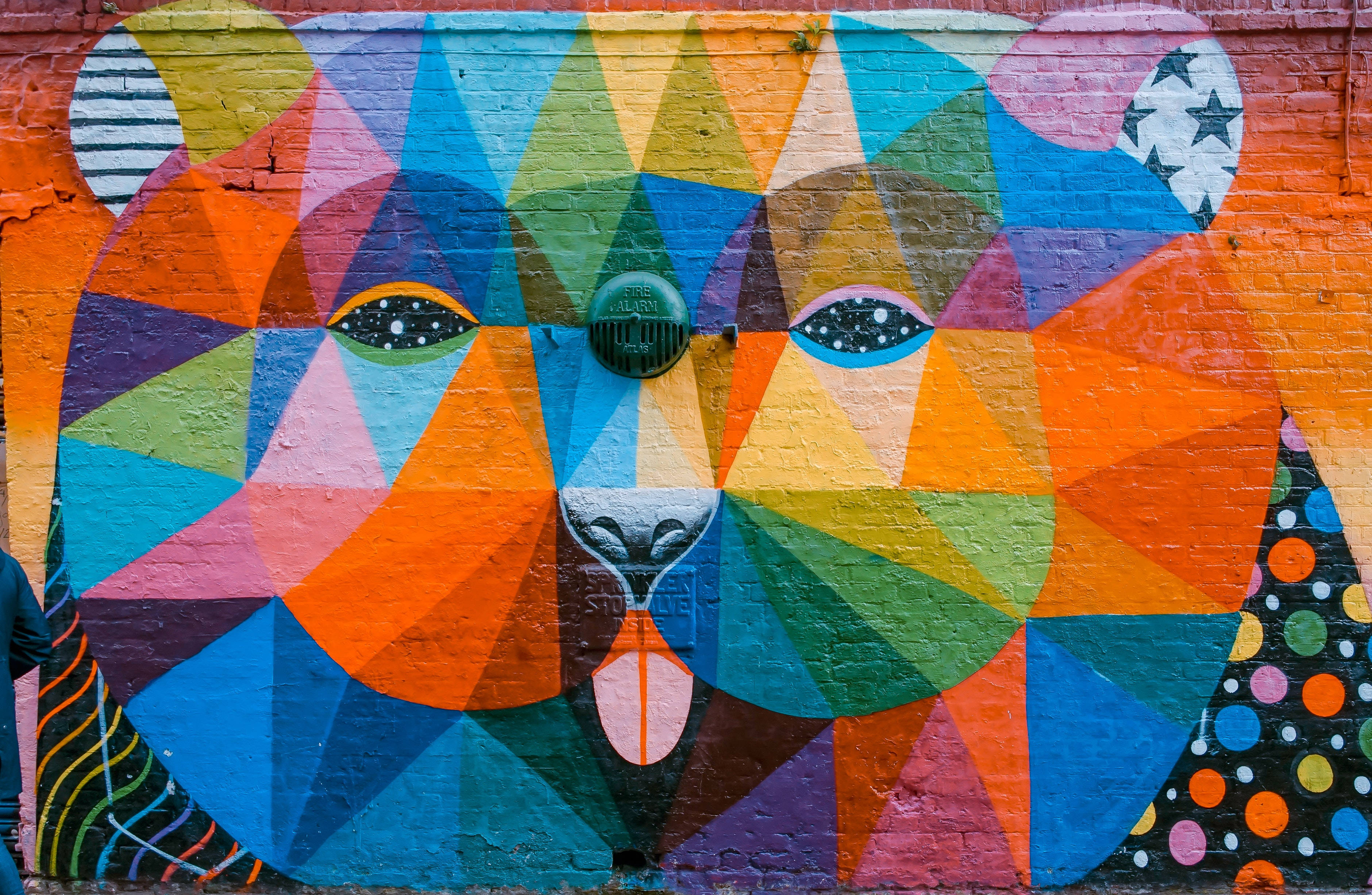 bear's face, geometric mural, brick wall, 2K Desktop Wallpaper