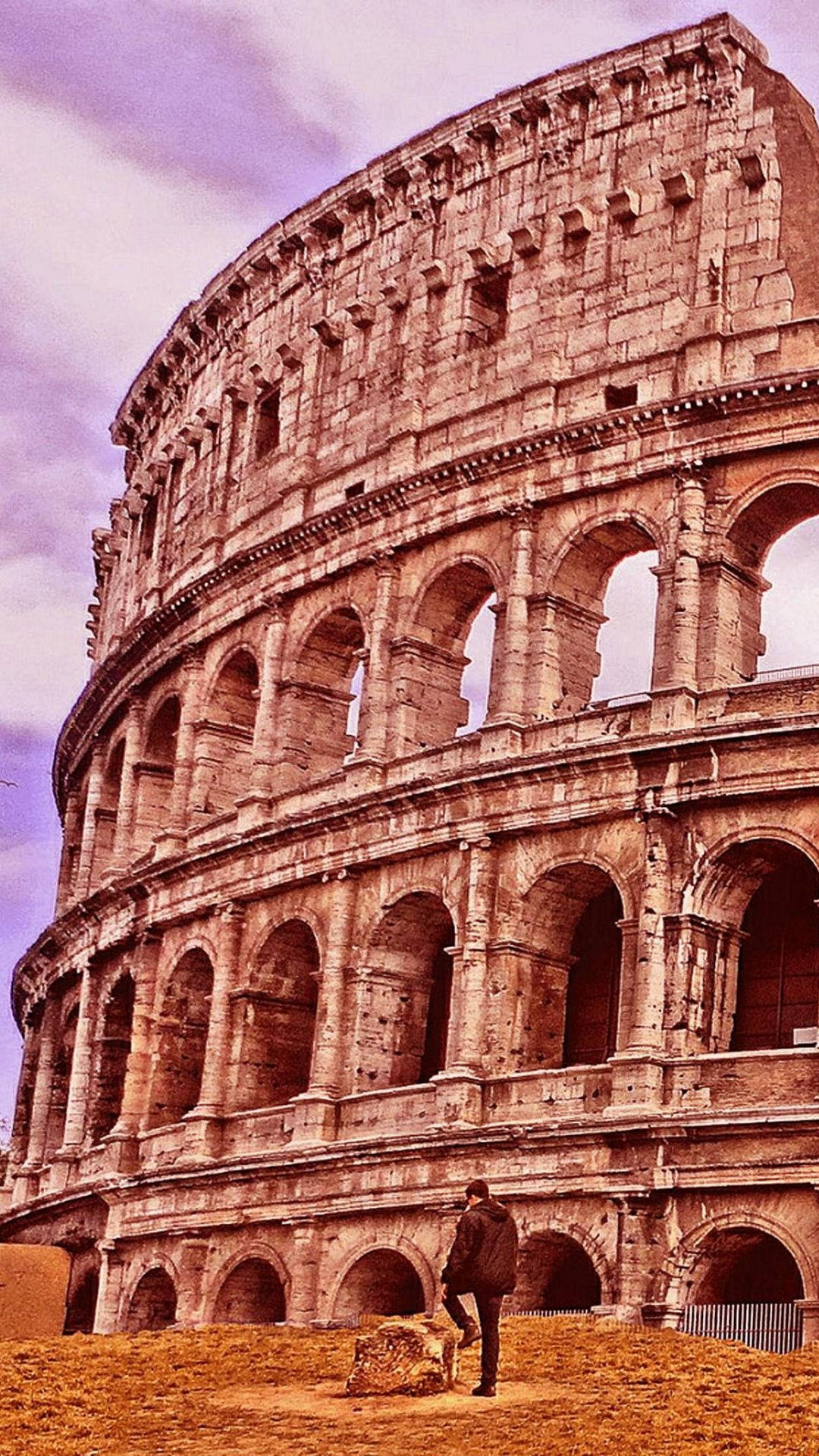 Colosseum, purple sky, golden grass, Full HD Phone Wallpaper