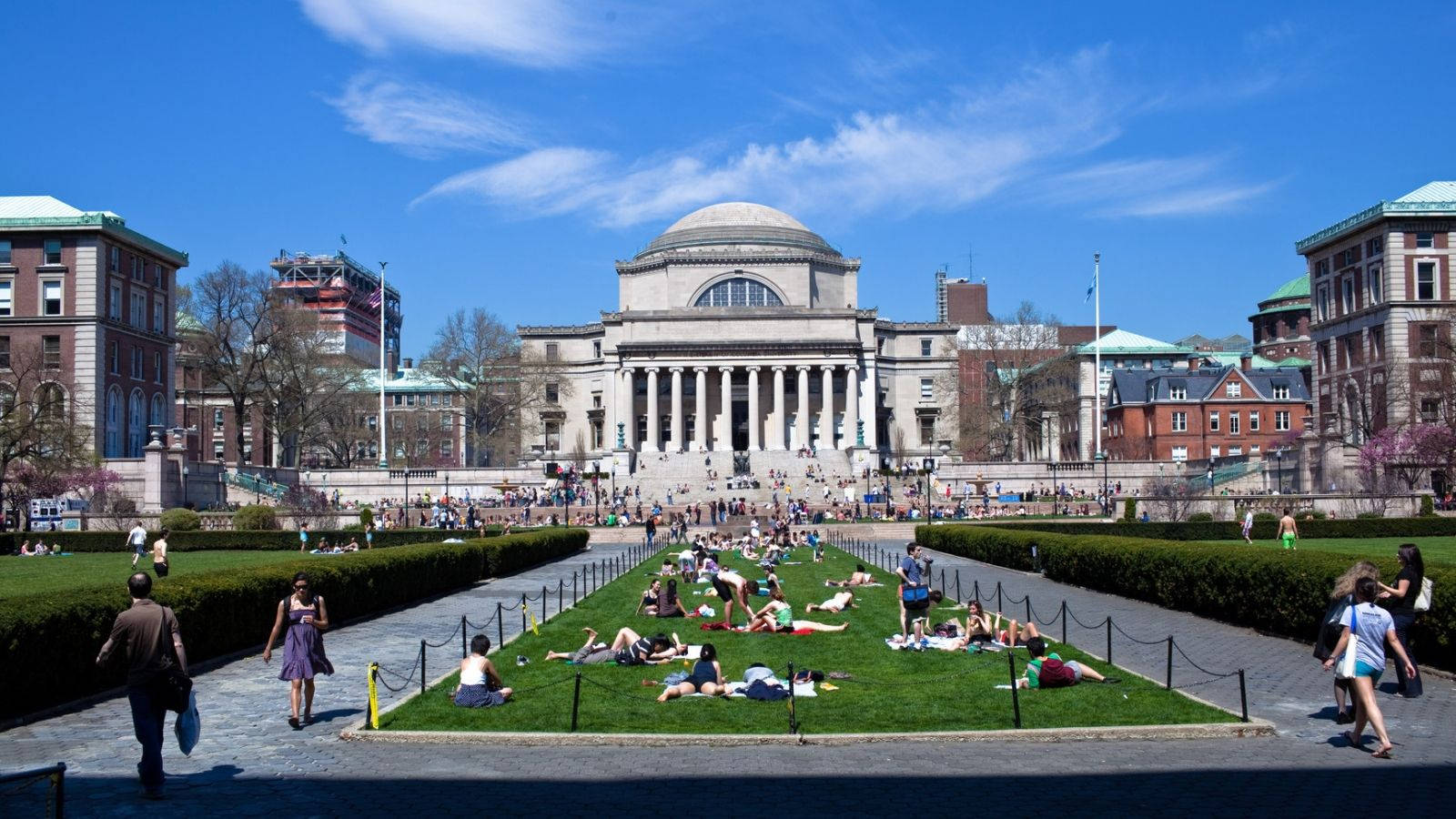 Columbia University, vibrant green grass, bright blue sky, HD Desktop Wallpaper
