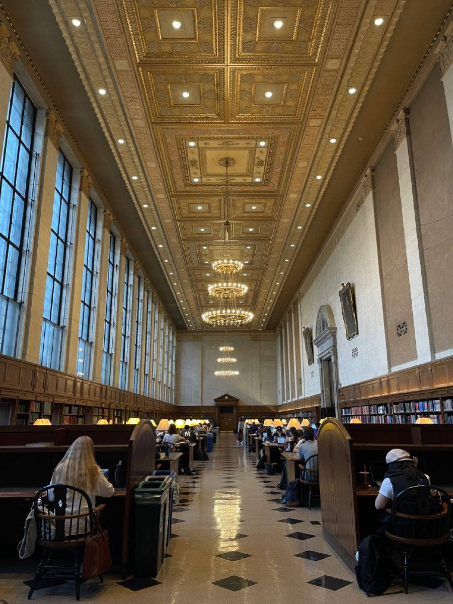 Columbia University, library interior, ornate gold ceilings, SD Phone Wallpaper