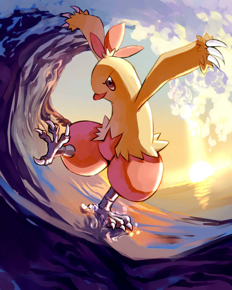Combusken, wave, sunset, SD Phone Wallpaper
