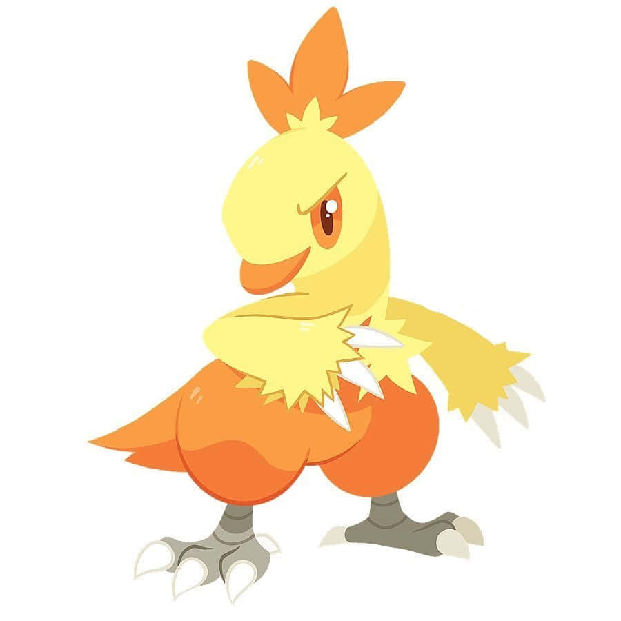 Combusken, chibi style, yellow and orange, SD Desktop Wallpaper