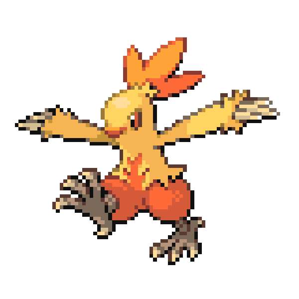 Combusken, fire-type Pokémon, orange flame-like crest, SD Desktop Wallpaper
