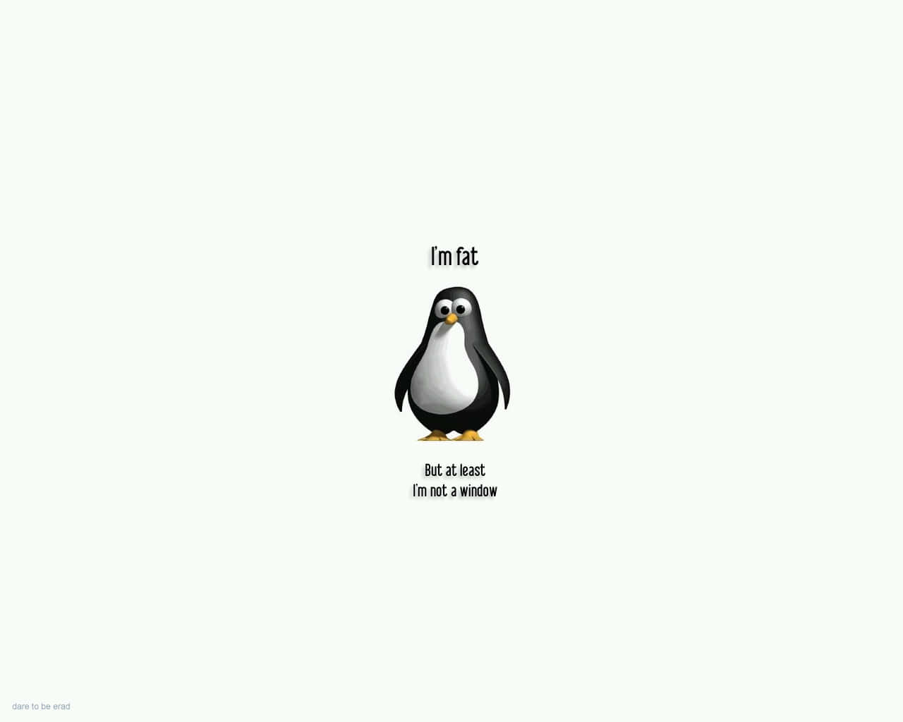penguin, cartoon penguin, text above and below, HD Desktop Wallpaper