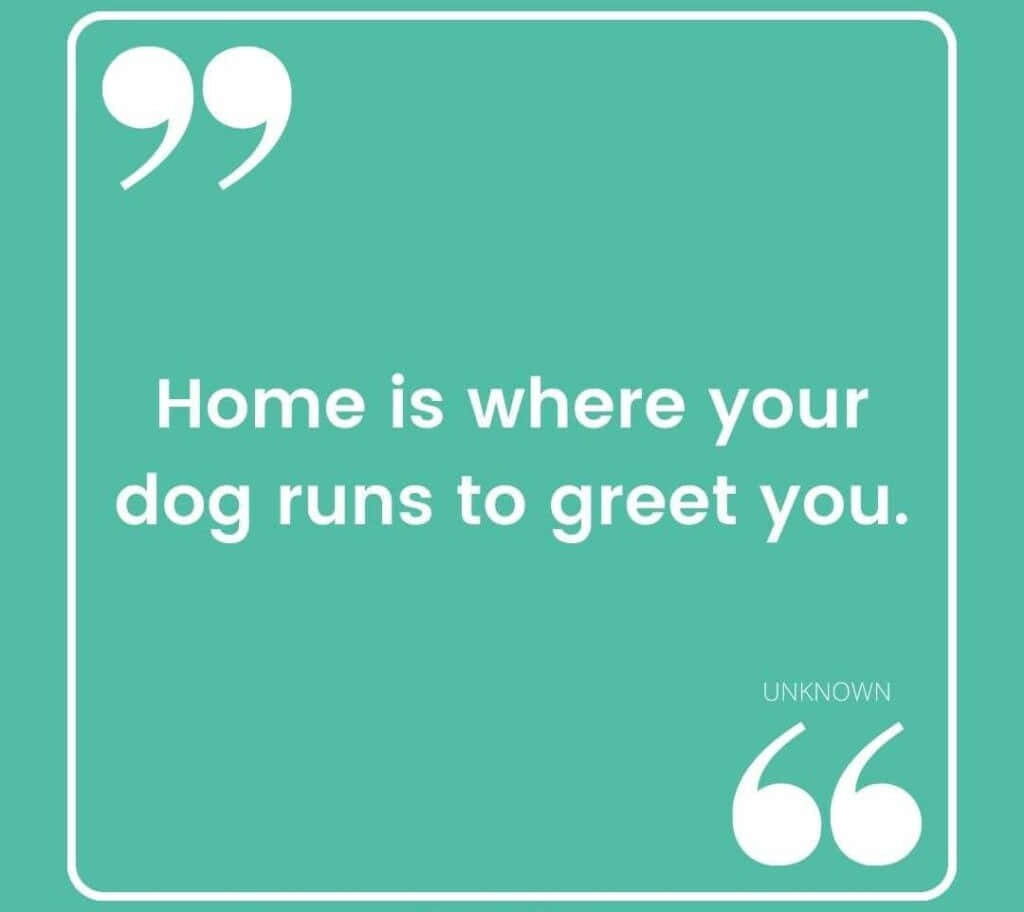 teal background, white quote, bordered box, SD Desktop Wallpaper