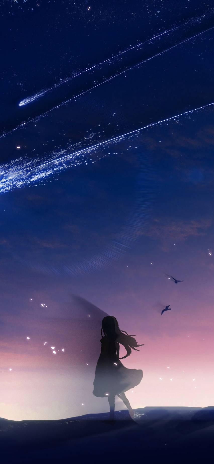 girl, comet, twilight sky, HD Phone Wallpaper