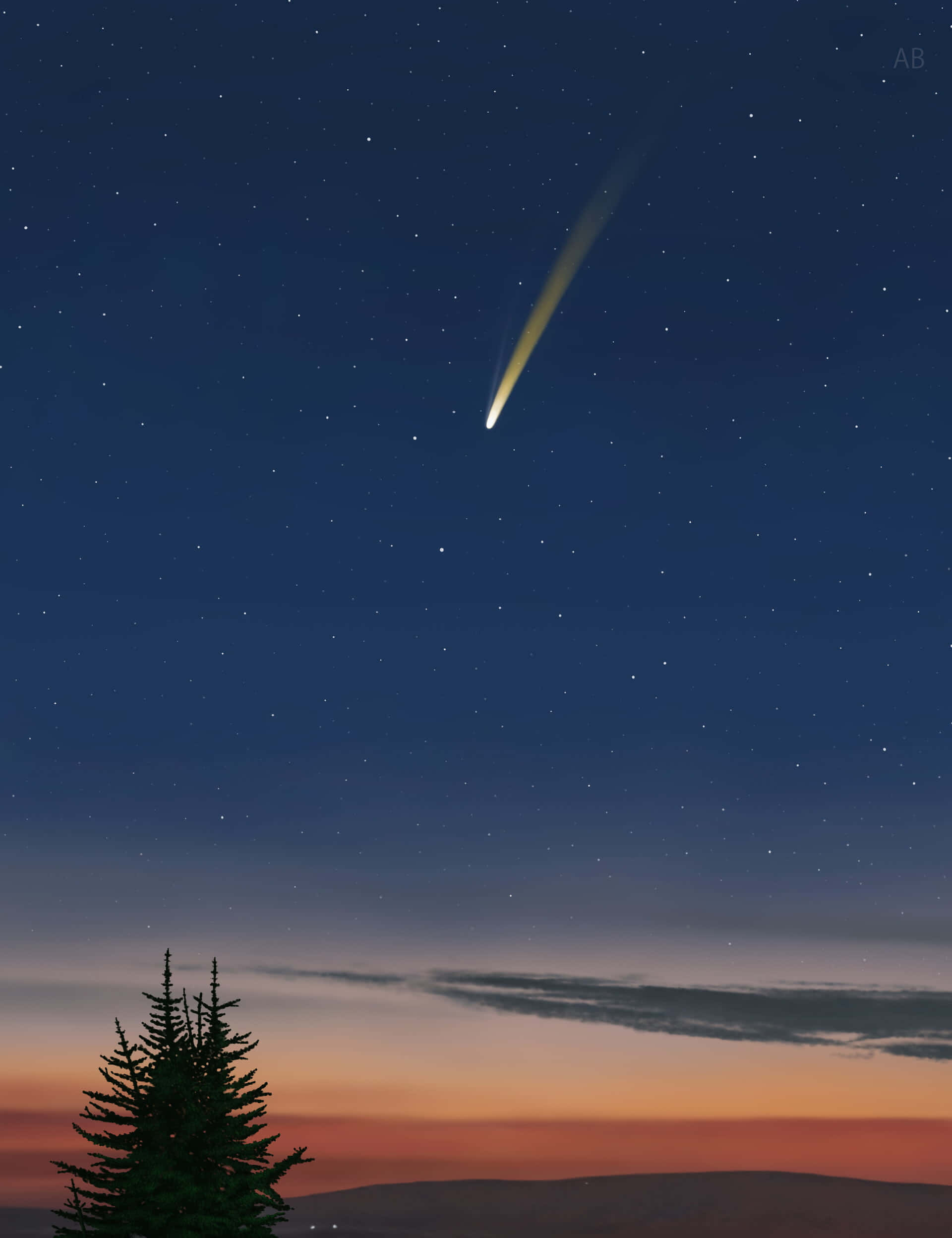 Comet, starry twilight sky, pine tree, Full HD Phone Wallpaper