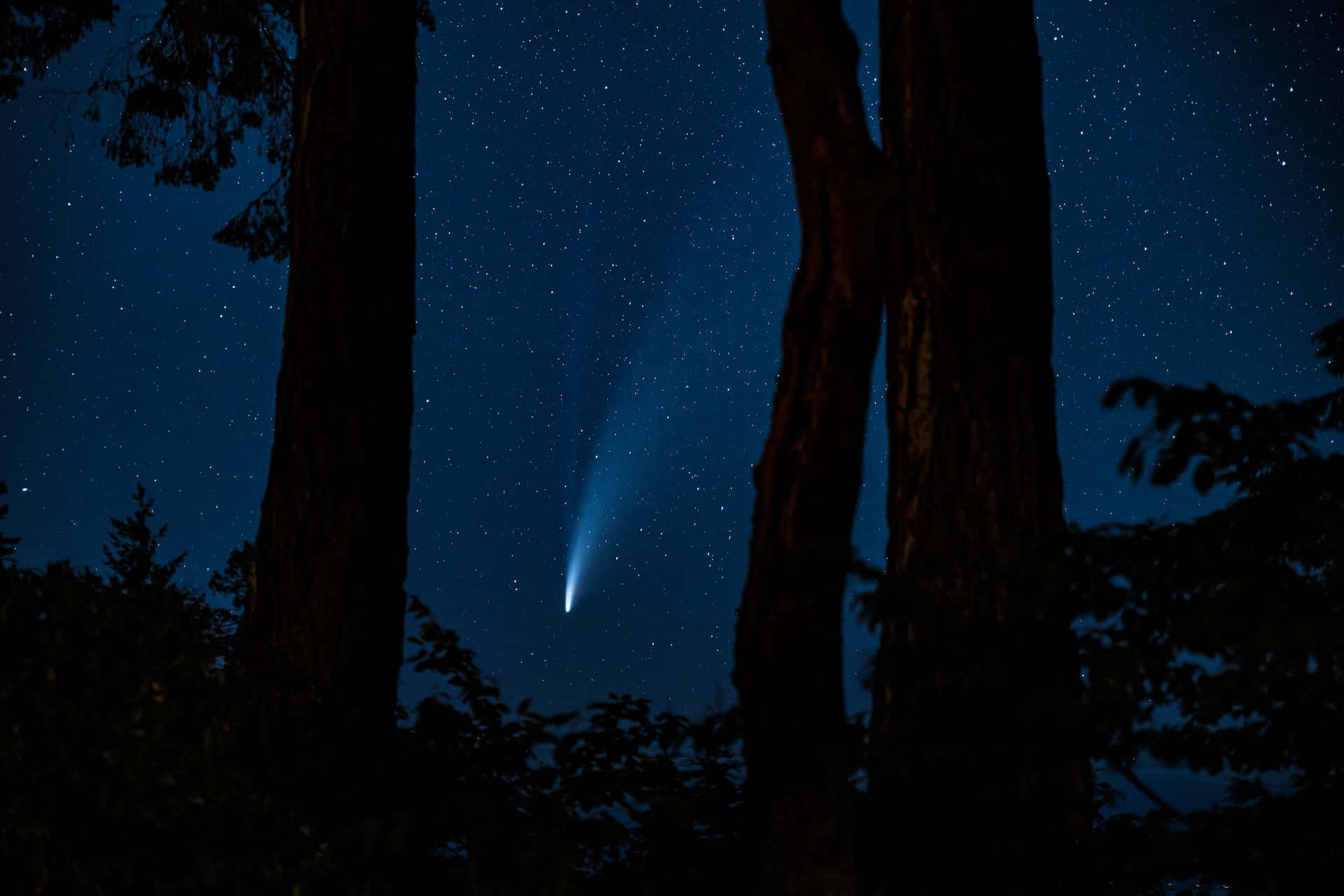 Comet, night sky, starry night sky, Full HD Desktop Wallpaper