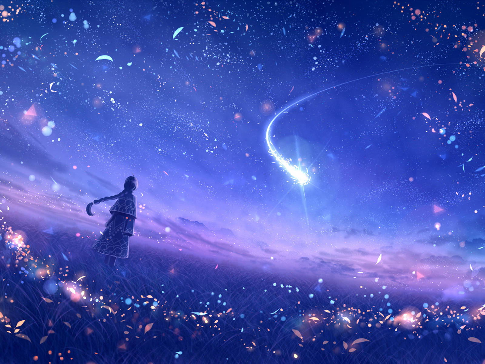 shooting star, comet, starry twilight sky, HD Desktop Wallpaper