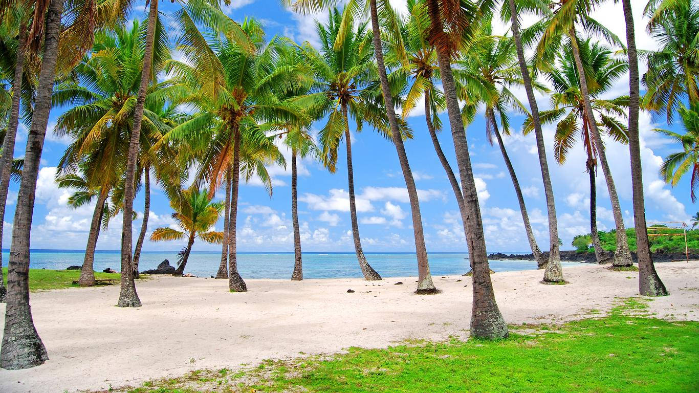 Comoros, beach, tall palm trees, HD Desktop Wallpaper