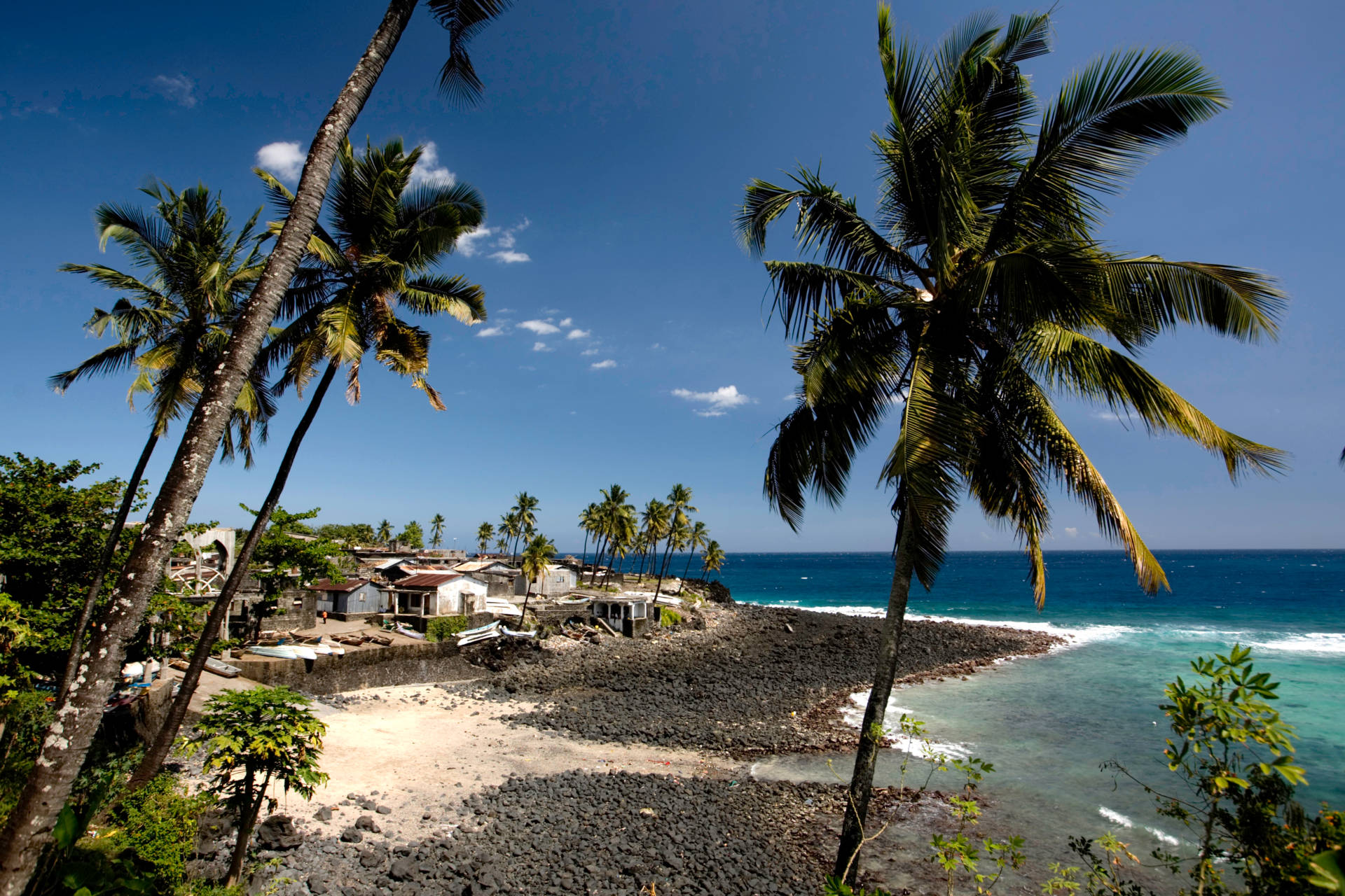 Comoros, palm trees, rocky shore, Full HD Desktop Wallpaper