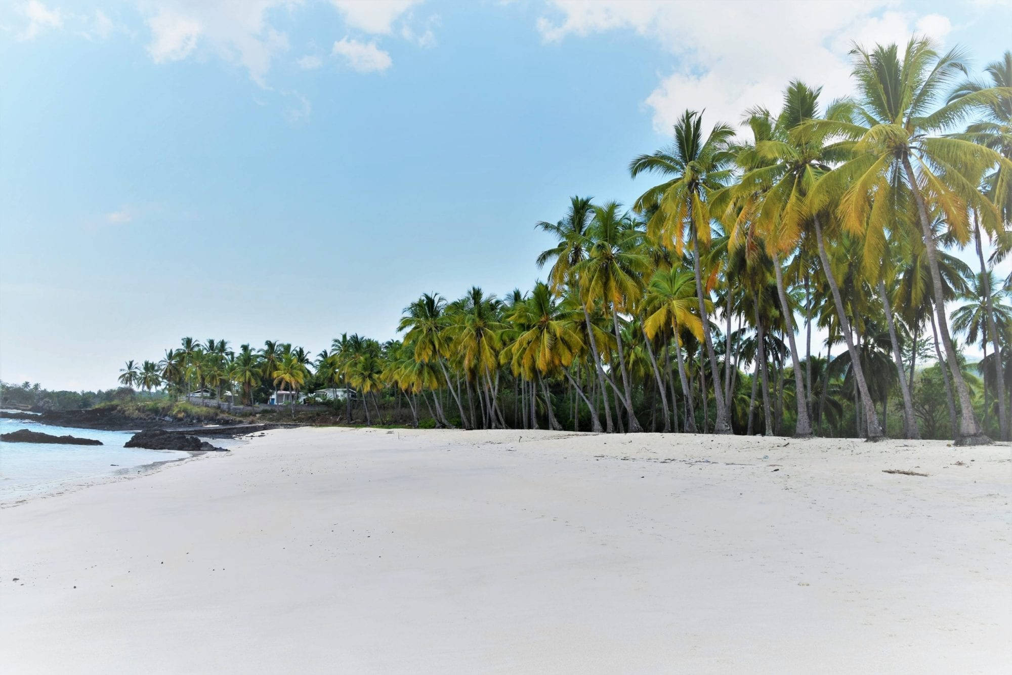long stretch beach shore comoros, white sand, tall palm trees, Full HD Desktop Wallpaper