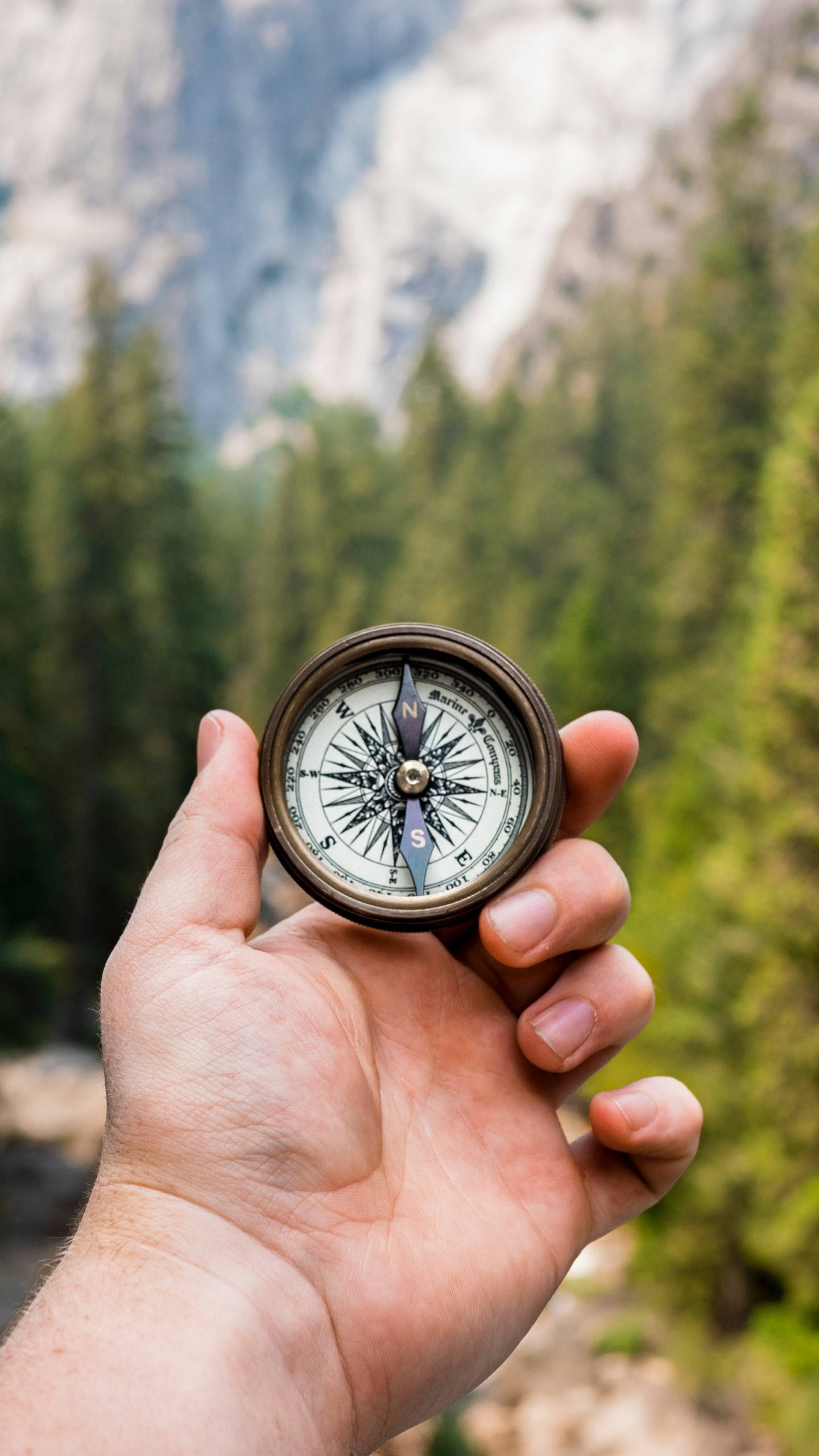 vintage compass, towering granite cliffs, dense green forest, 2K Phone Wallpaper