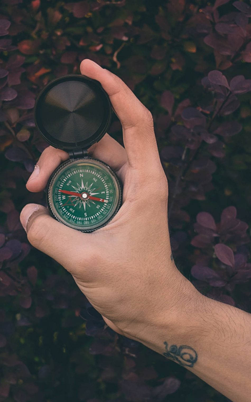 vintage compass, deep purple foliage, hand, HD Phone Wallpaper