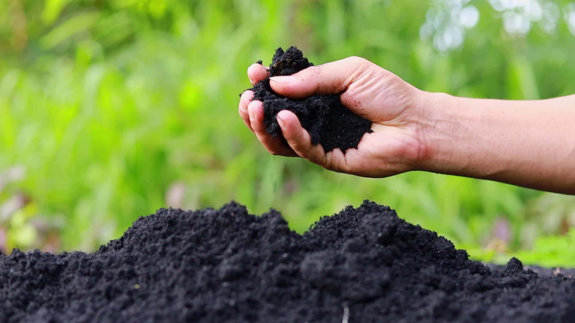 Compost, 1920 x 1080, dark soil, Full HD Desktop Wallpaper