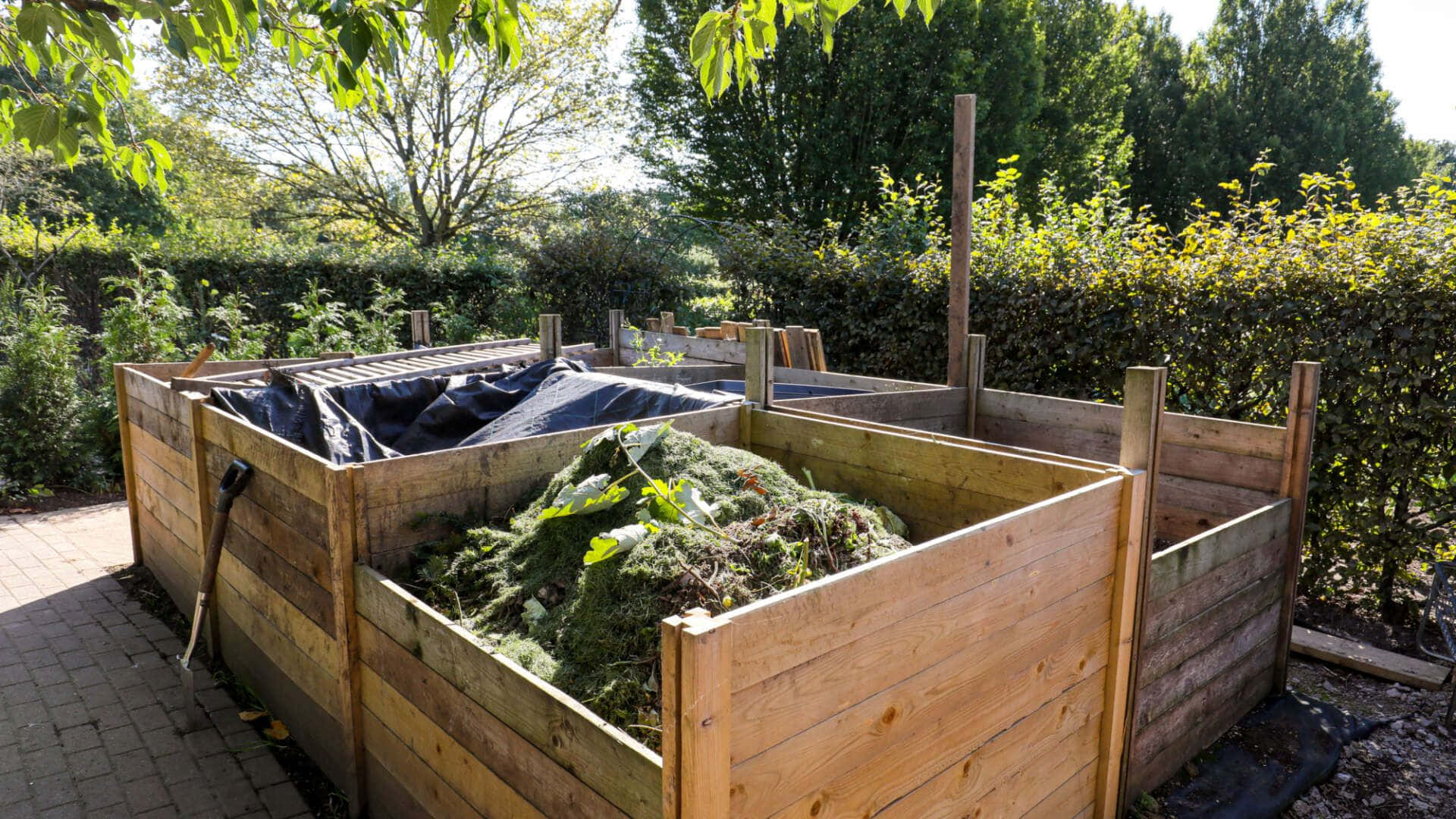 compost pile, wooden compost bins, sunny backyard garden, Full HD Desktop Wallpaper