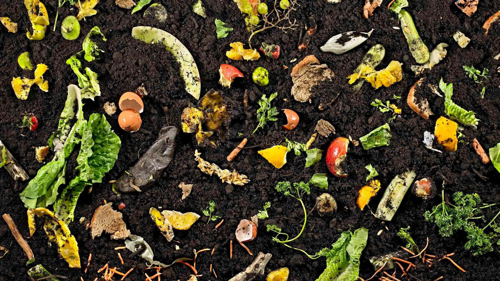 Compost, dark soil, vegetable peels, HD Desktop Wallpaper