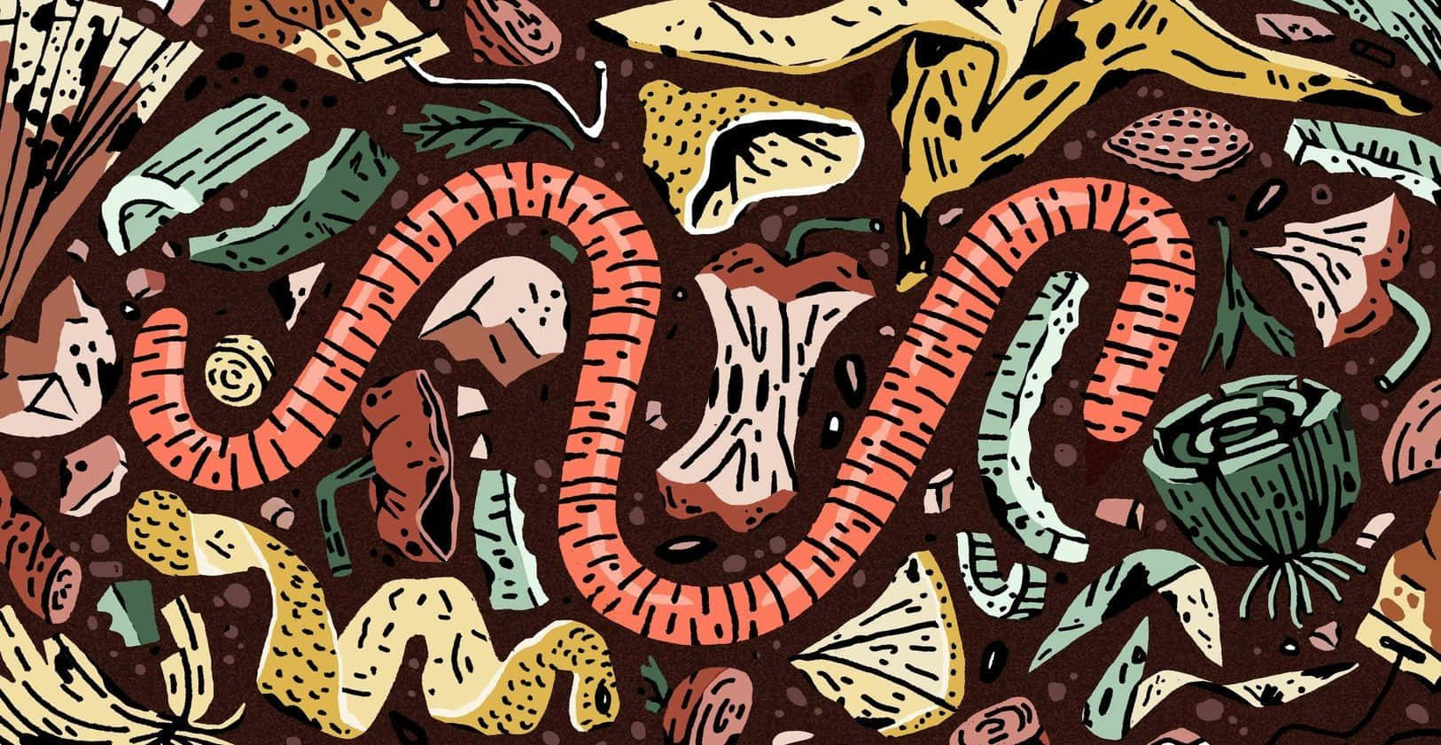 compost, orange worm, colorful organic shapes, HD Desktop Wallpaper