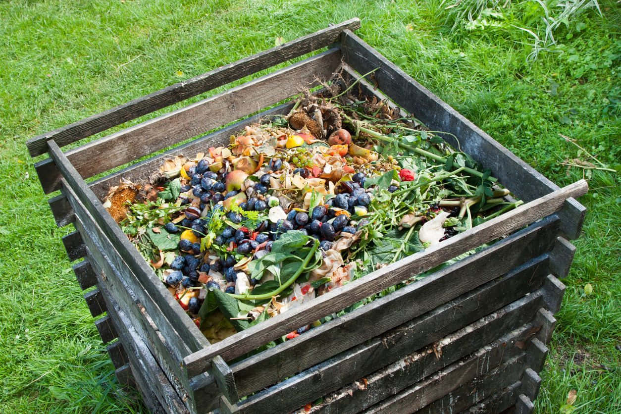 compost, wooden compost bin, fruit scraps, SD Desktop Wallpaper