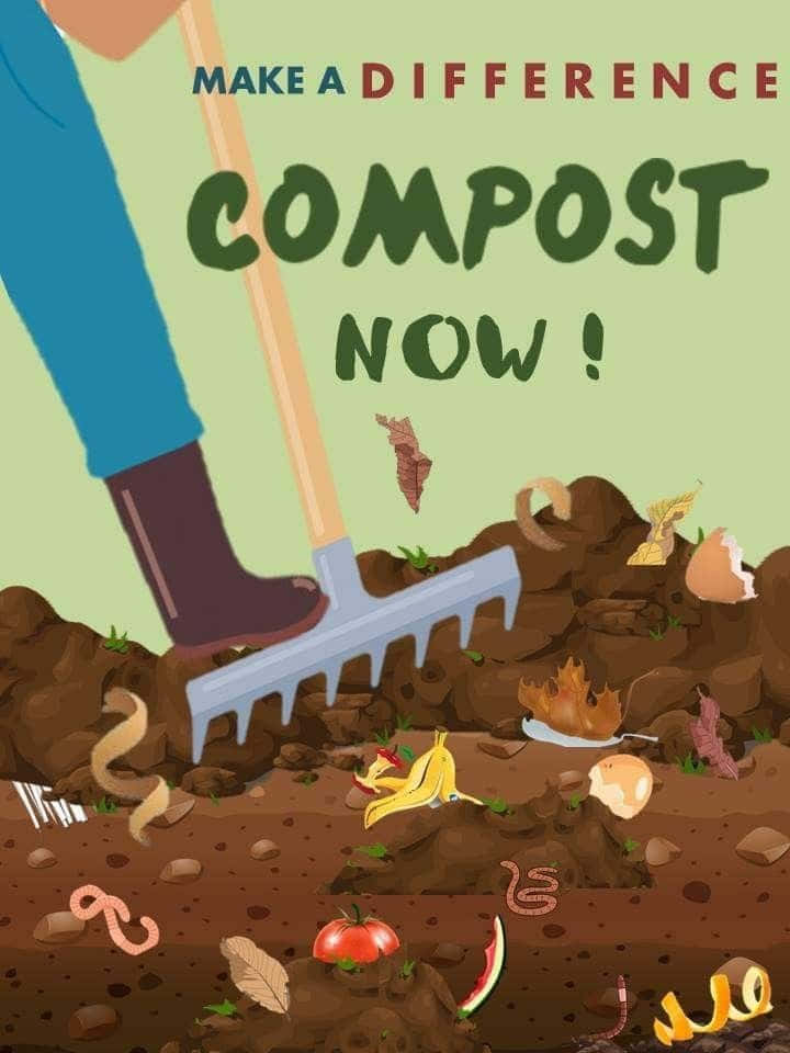 compost, banana peels, eggshells, SD Phone Wallpaper