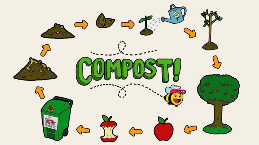 compost, food scraps, fruit tree, SD Desktop Wallpaper