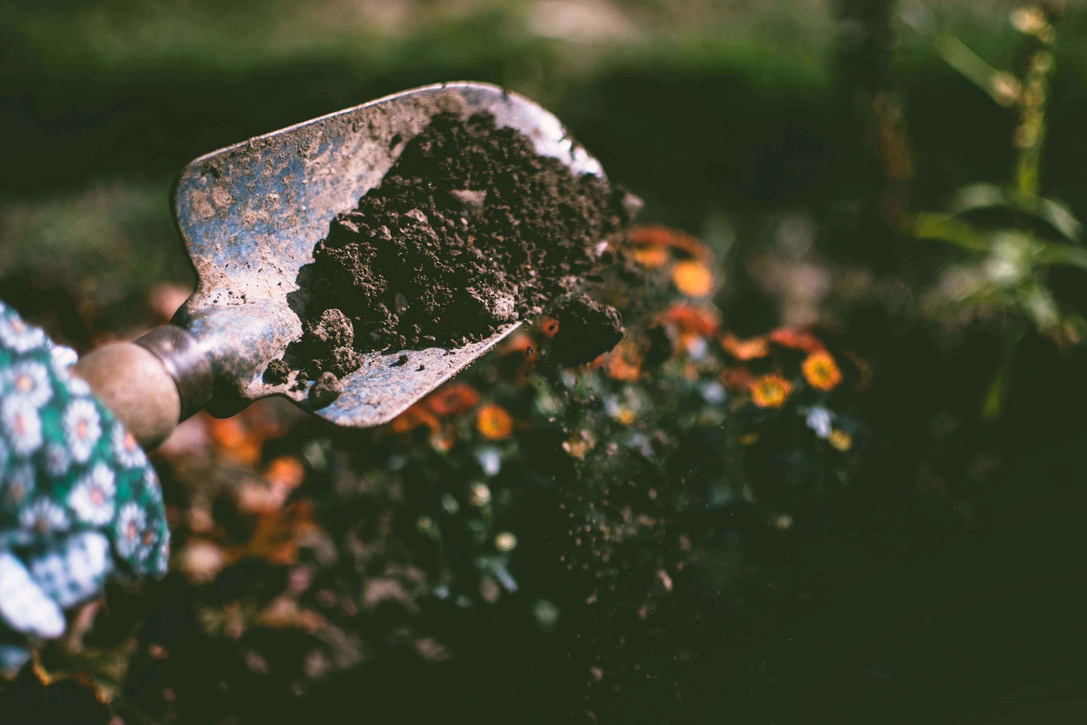 compost, shovel, dark soil, 2K Desktop Wallpaper