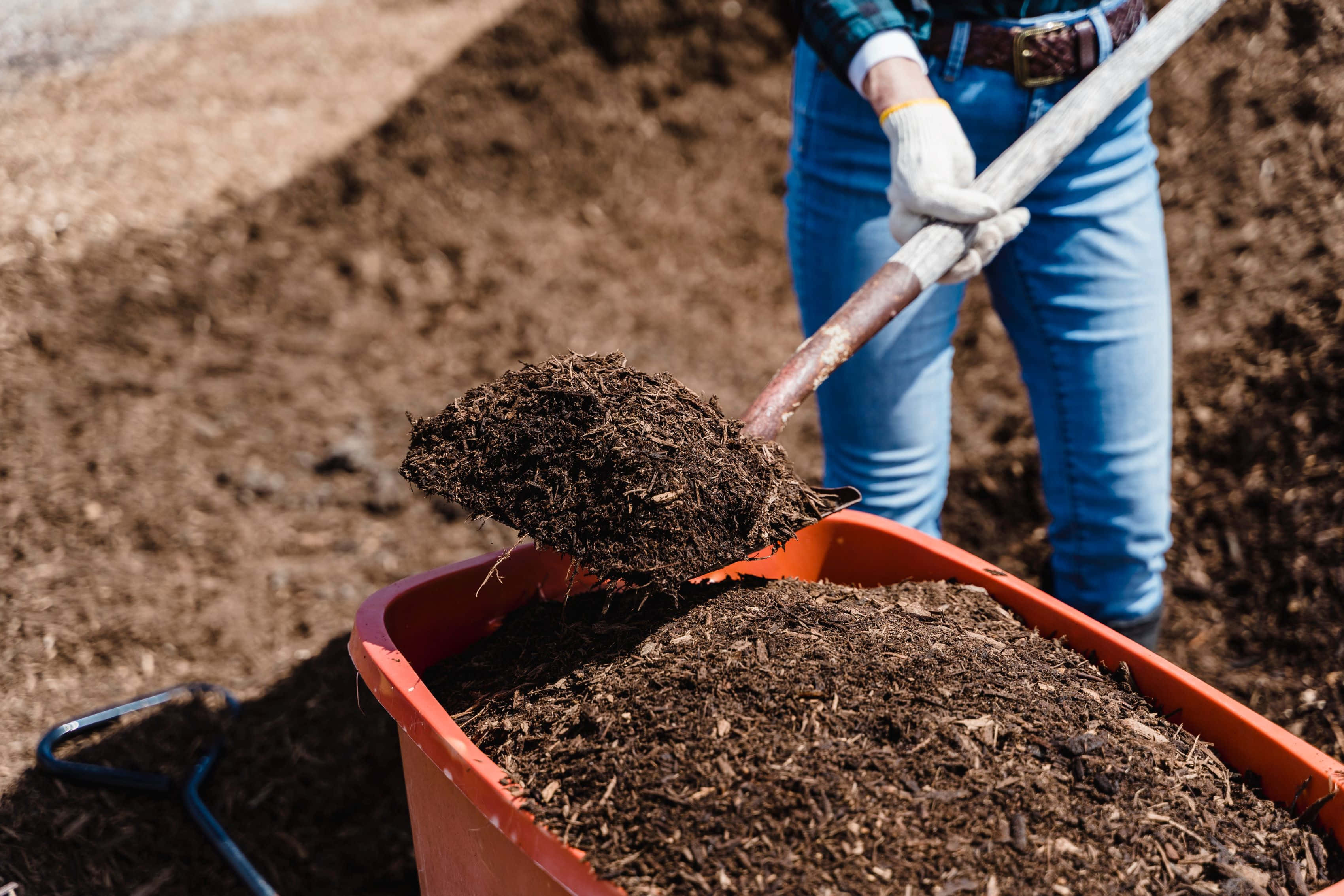 compost, red wheelbarrow, blue jeans, 2K Desktop Wallpaper