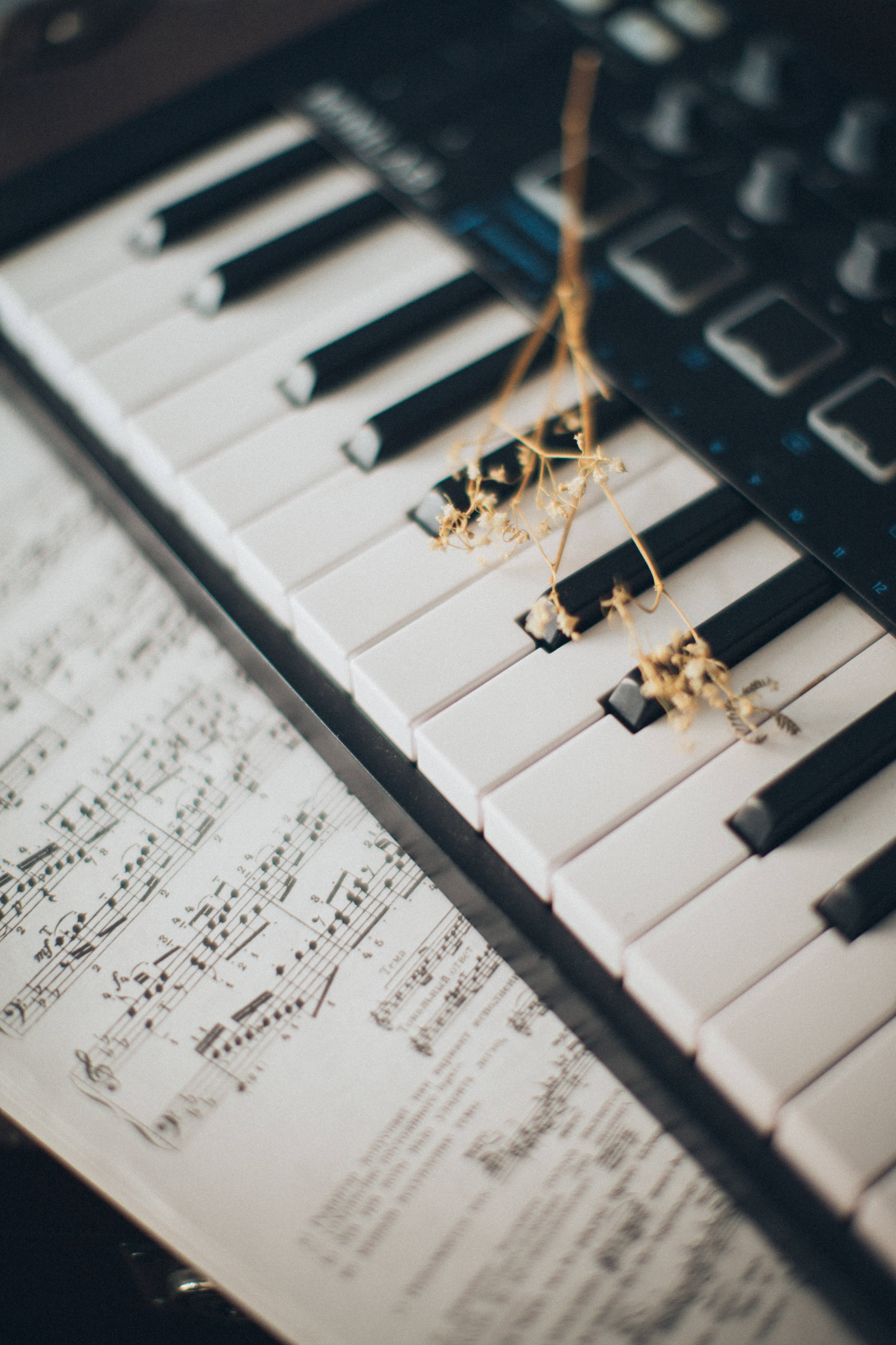 keyboard, sheet music, dried flowers, 5K Phone Wallpaper