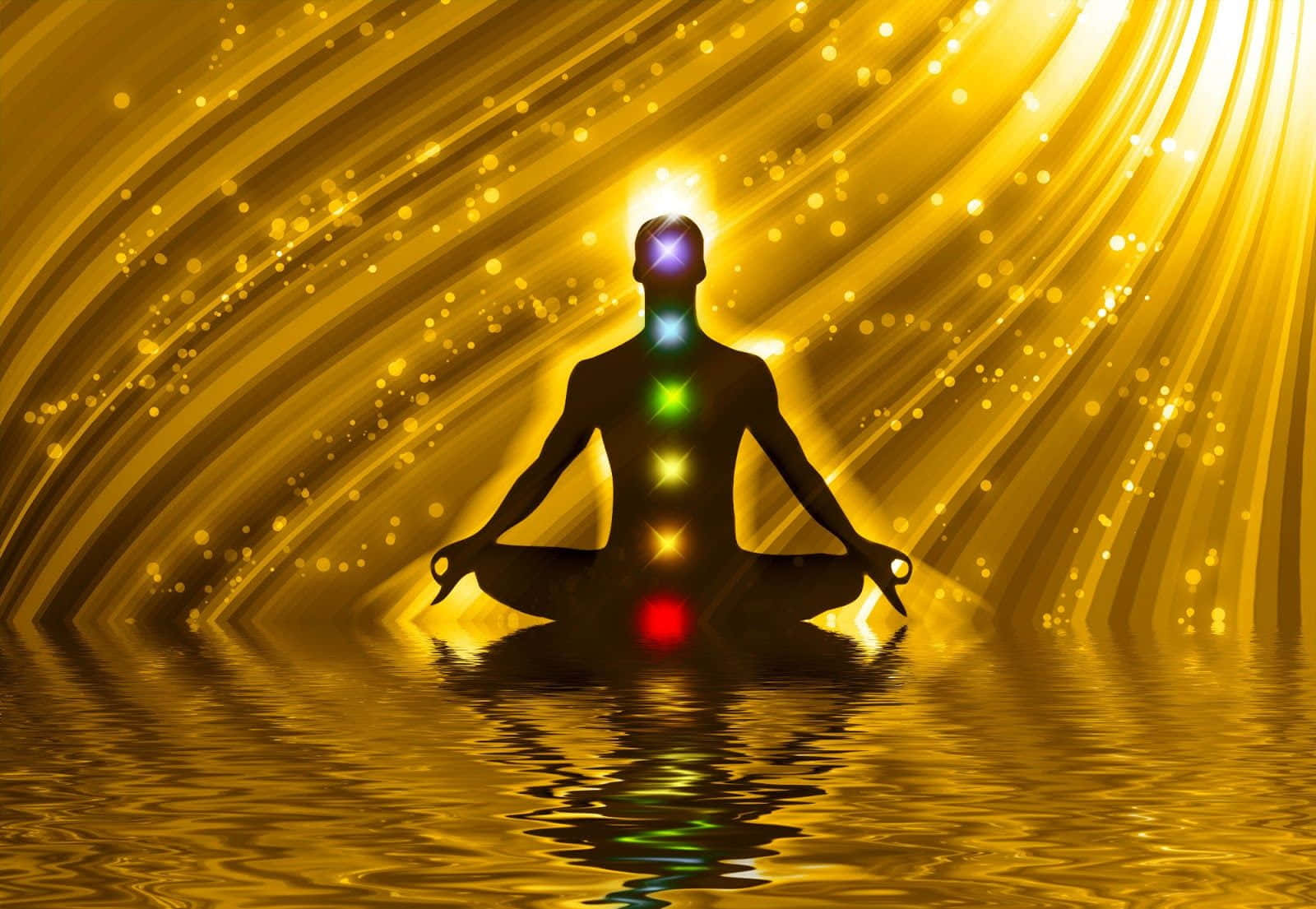 Concentration, 1600 x 1105, laptop, HD Desktop Wallpaper
