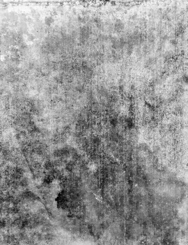 monochrome, abstract texture, mottled gray, SD Phone Wallpaper