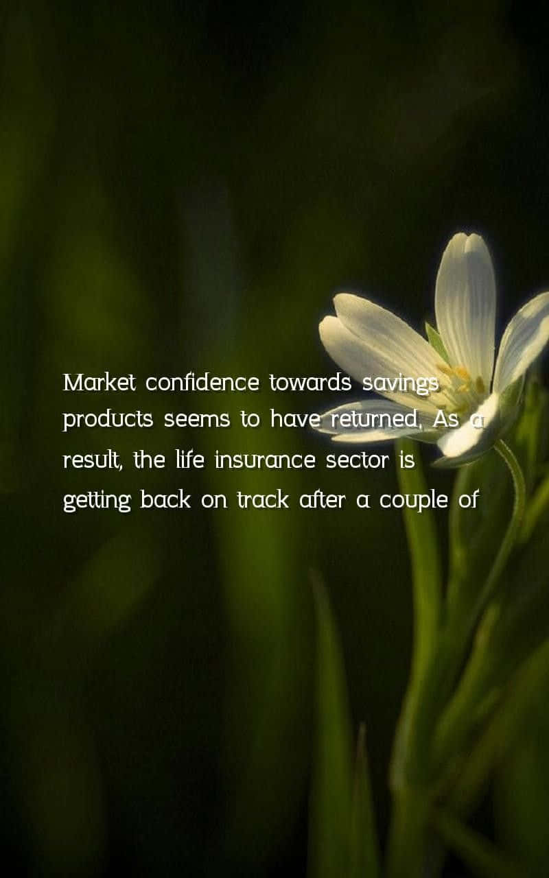 White Flower Market, Confidence Quote, delicate white flower, HD Phone Wallpaper