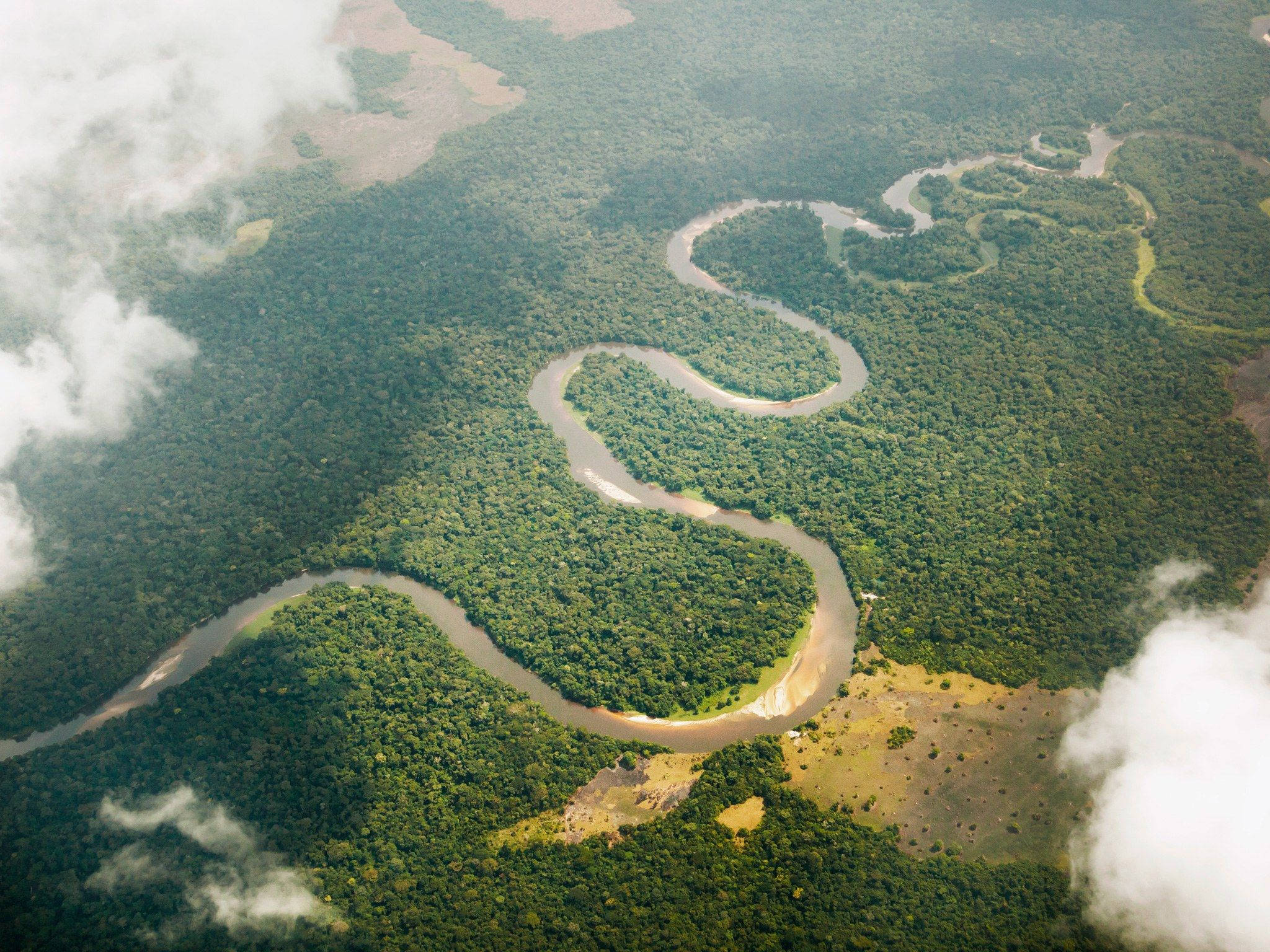 Congo, vast rainforest, winding river, Full HD Desktop Wallpaper