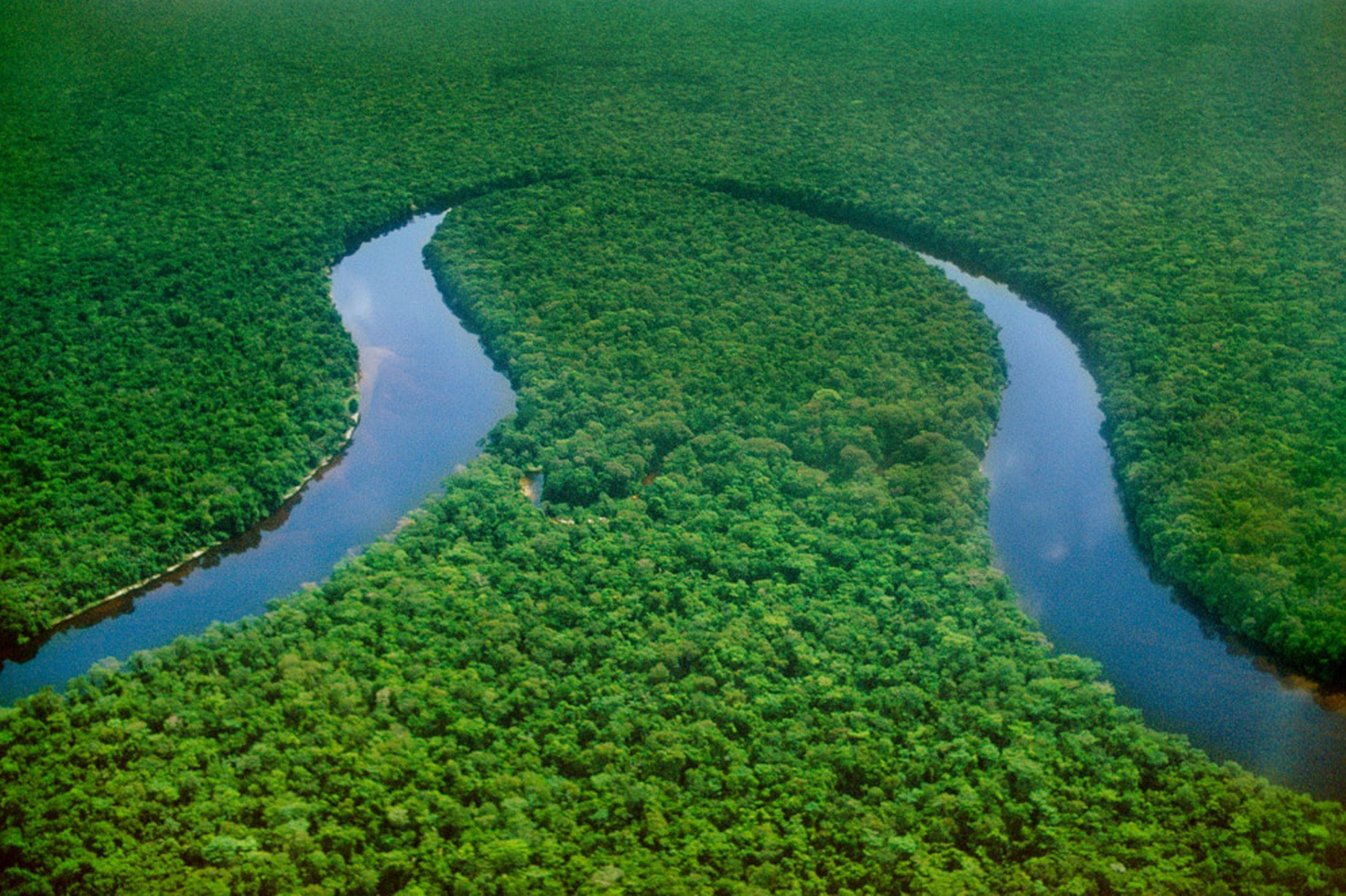 River Congo, emerald jungle, aerial view, Full HD Desktop Wallpaper