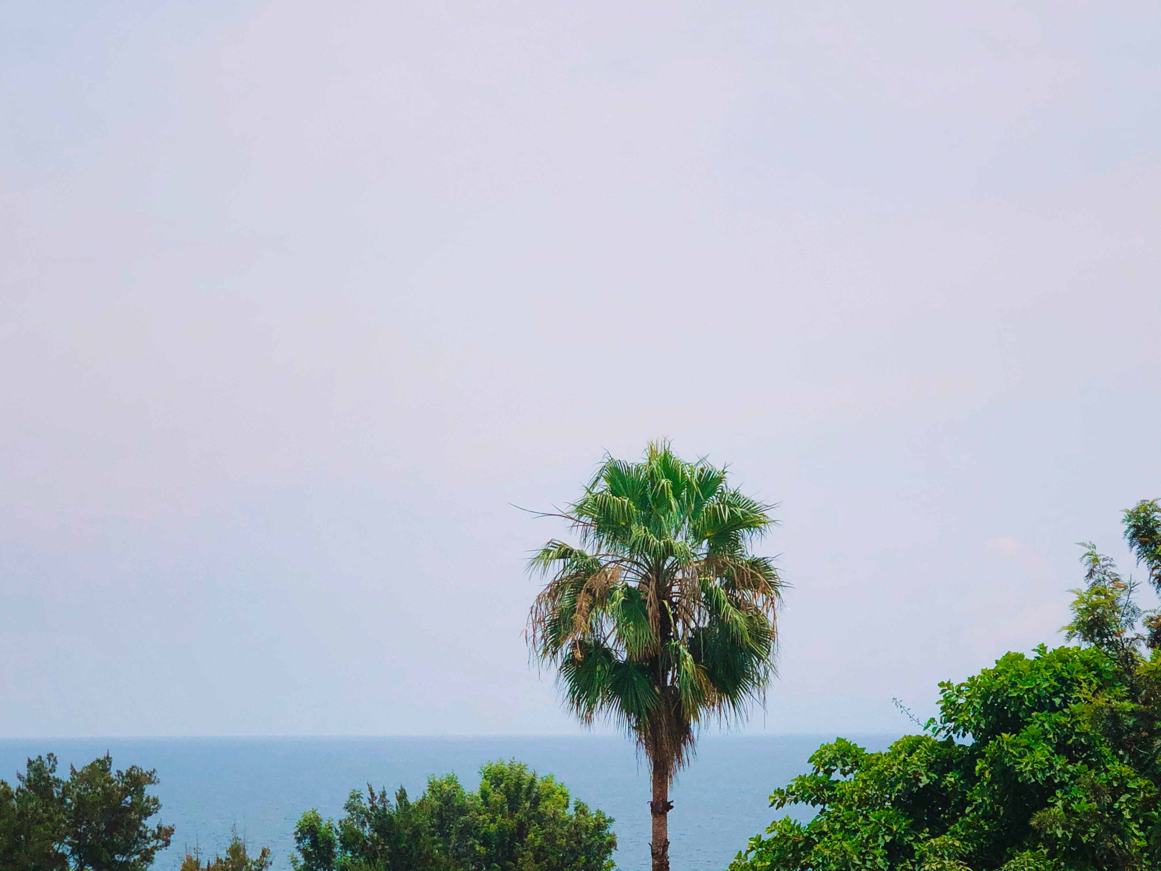 Congo, blue sky, trees, 4K Desktop Wallpaper