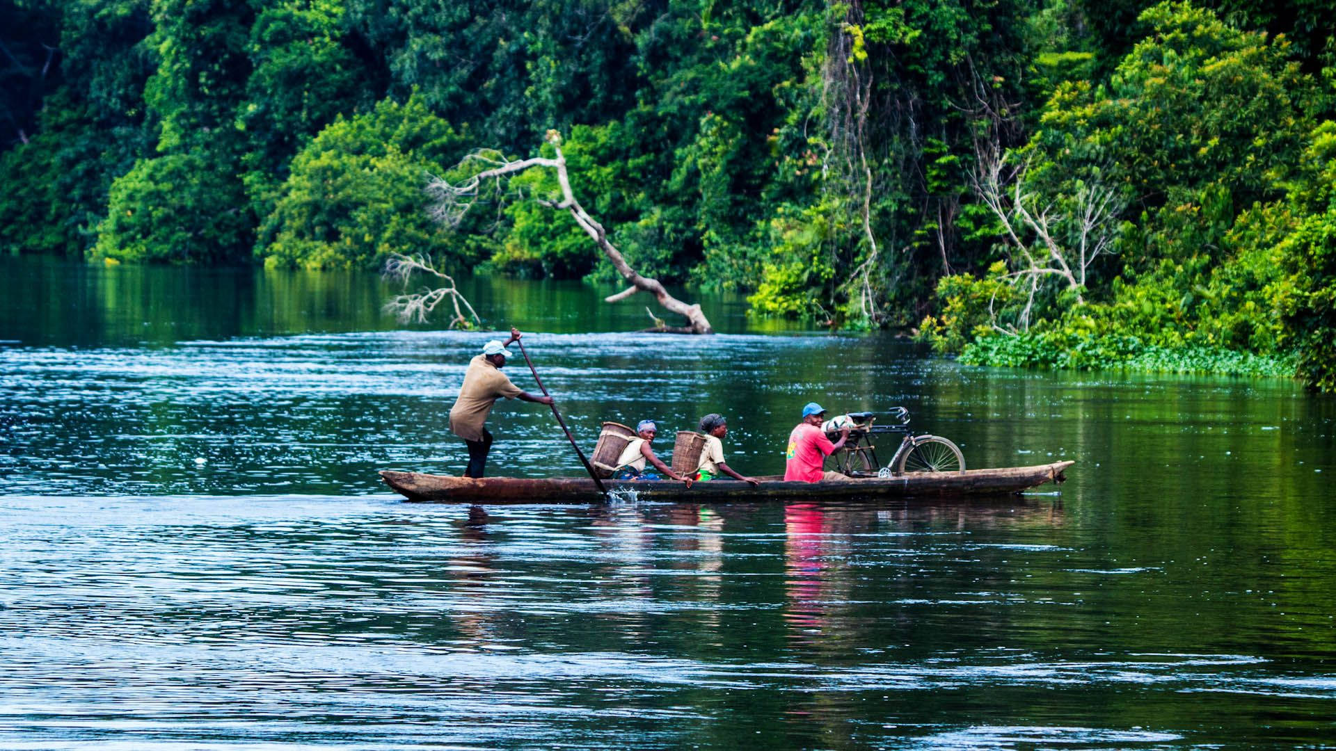 Congo, forest, river, Full HD Desktop Wallpaper