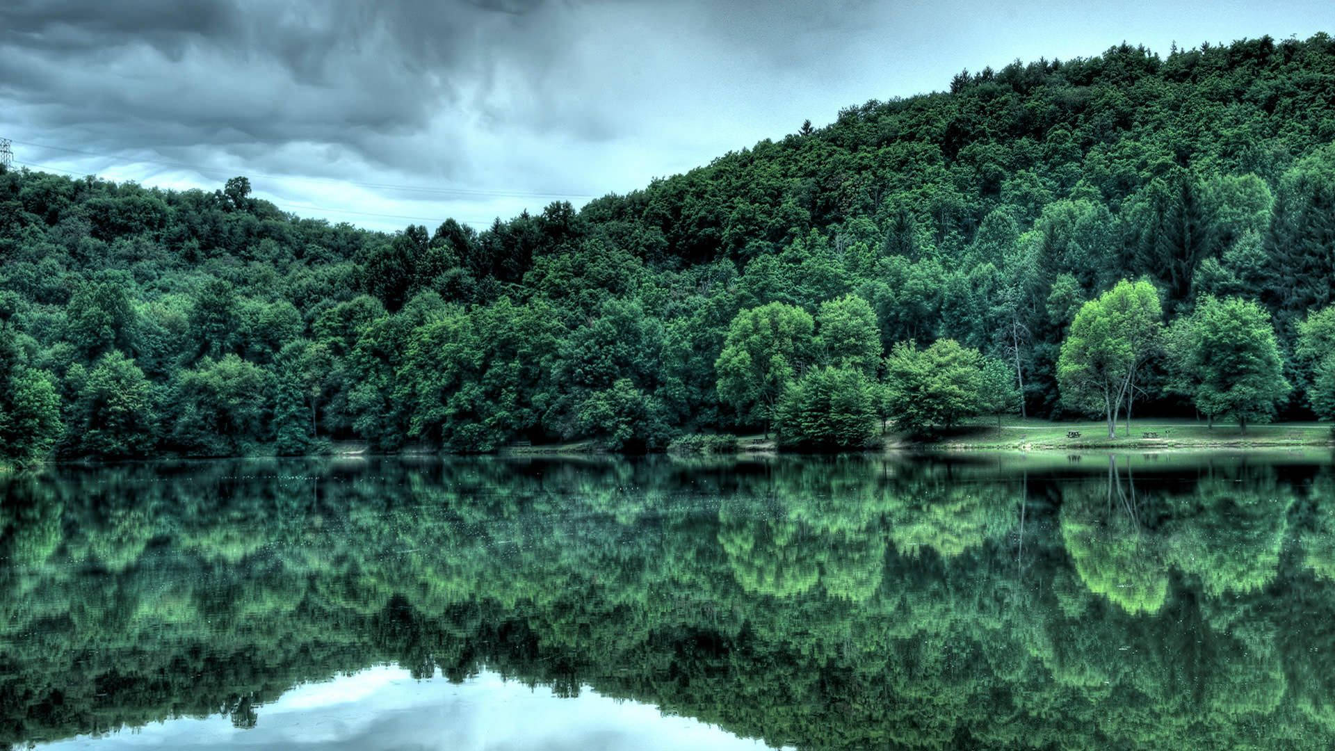 rainforest, greenery, Congo, Full HD Desktop Wallpaper