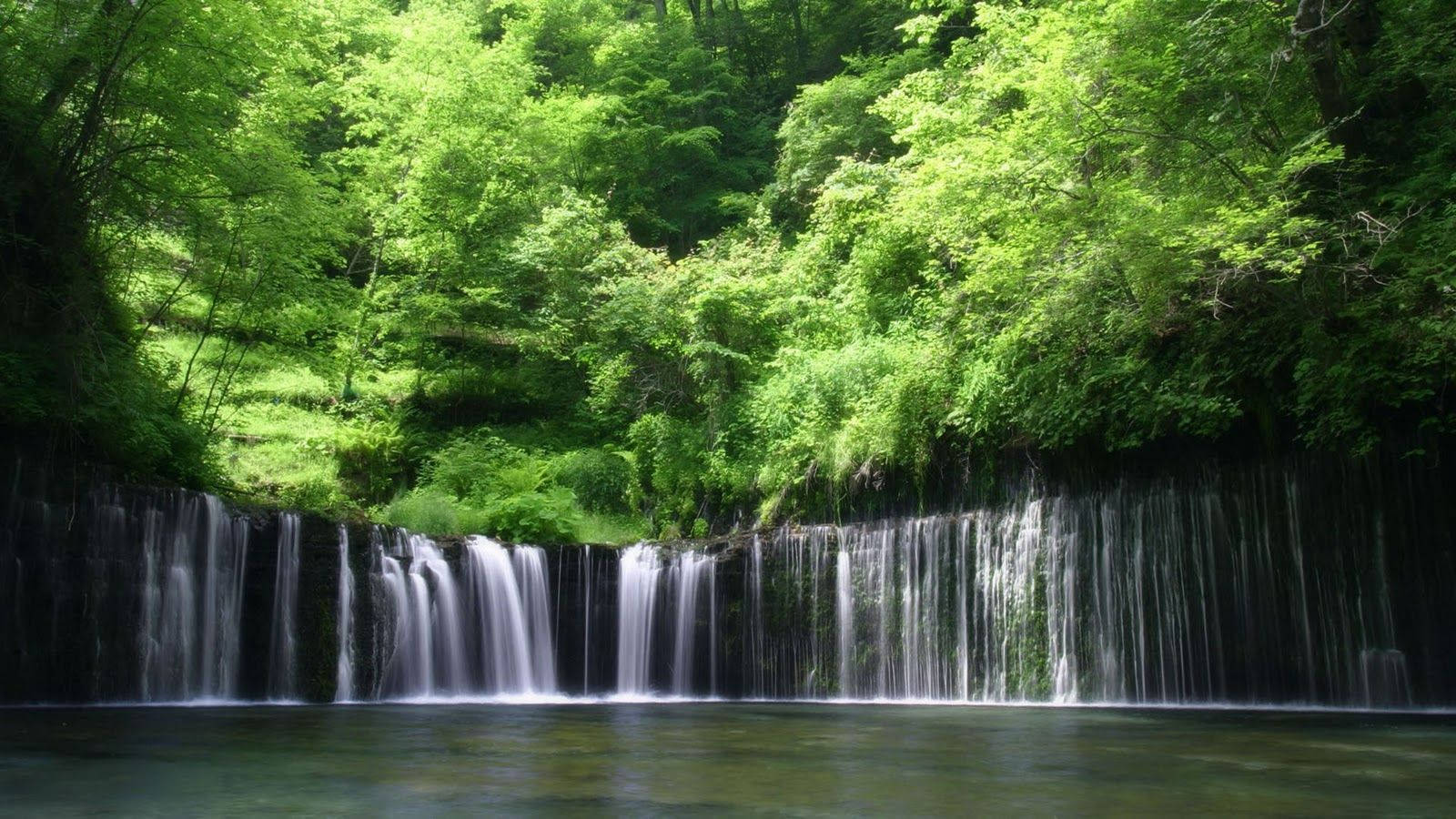 Falls, Green Trees, Congo, HD Desktop Wallpaper