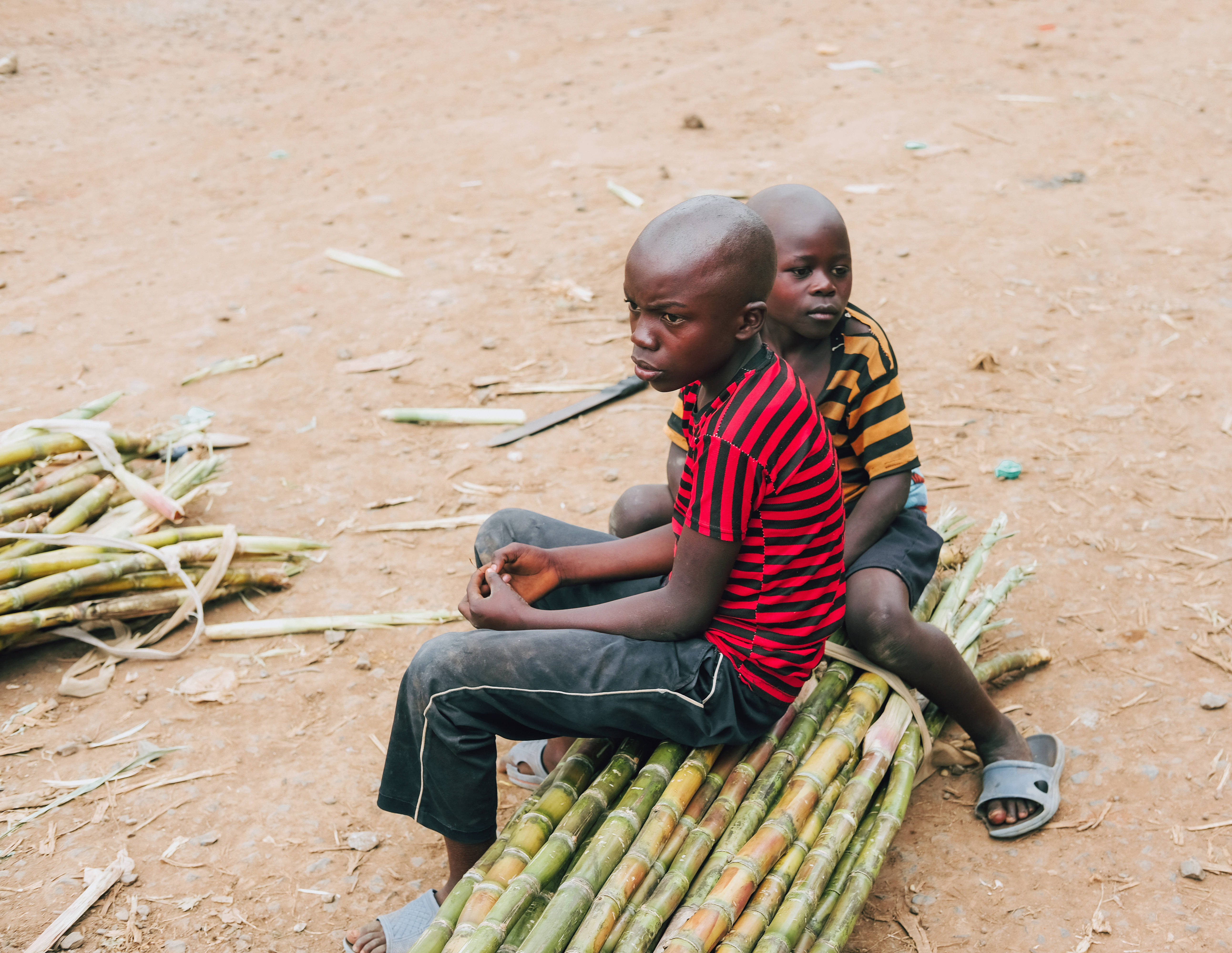 Congo, sugarcane stalks, red striped shirt, 5K Desktop Wallpaper