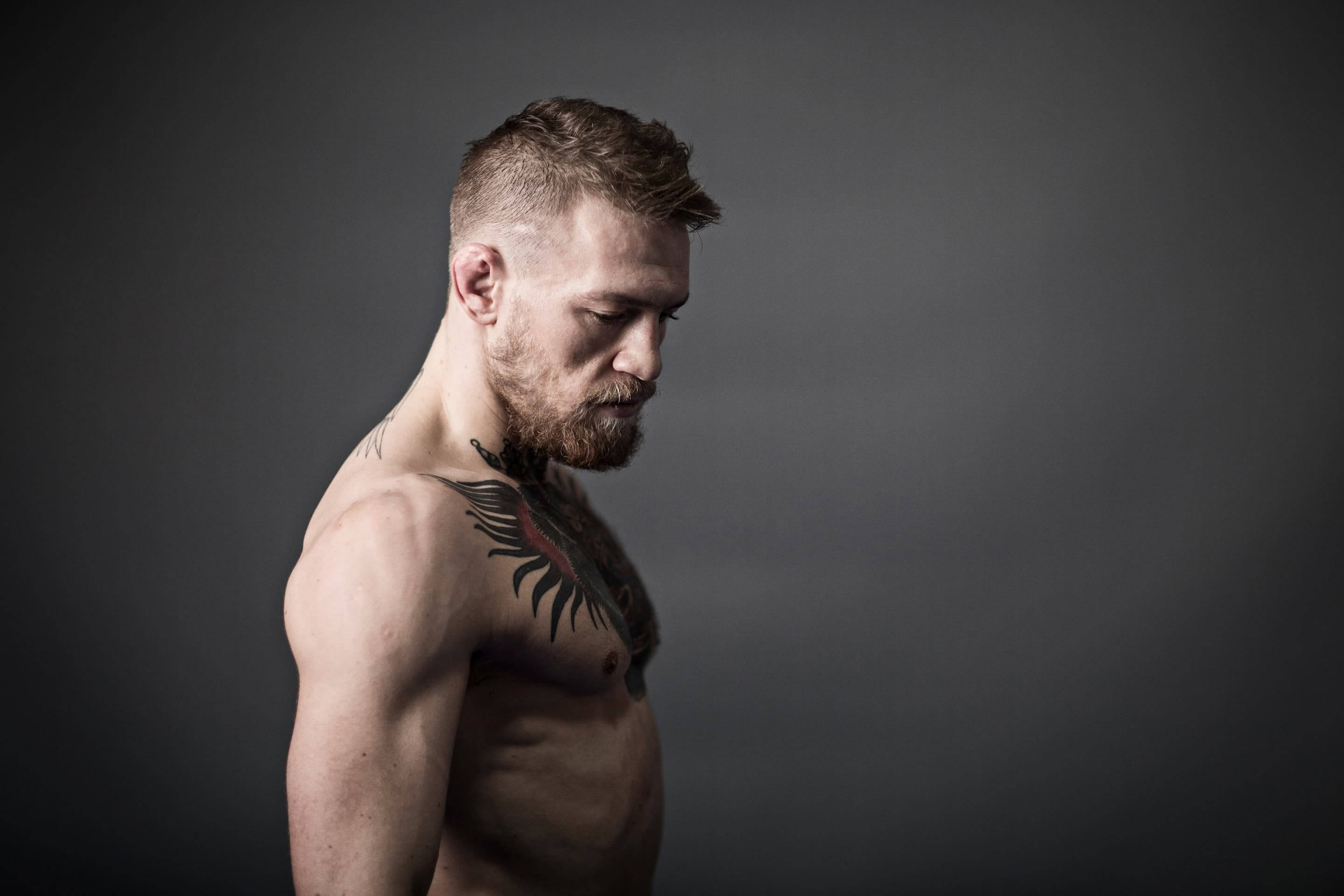 Conor Mcgregor, gray, beard, 2K Desktop Wallpaper