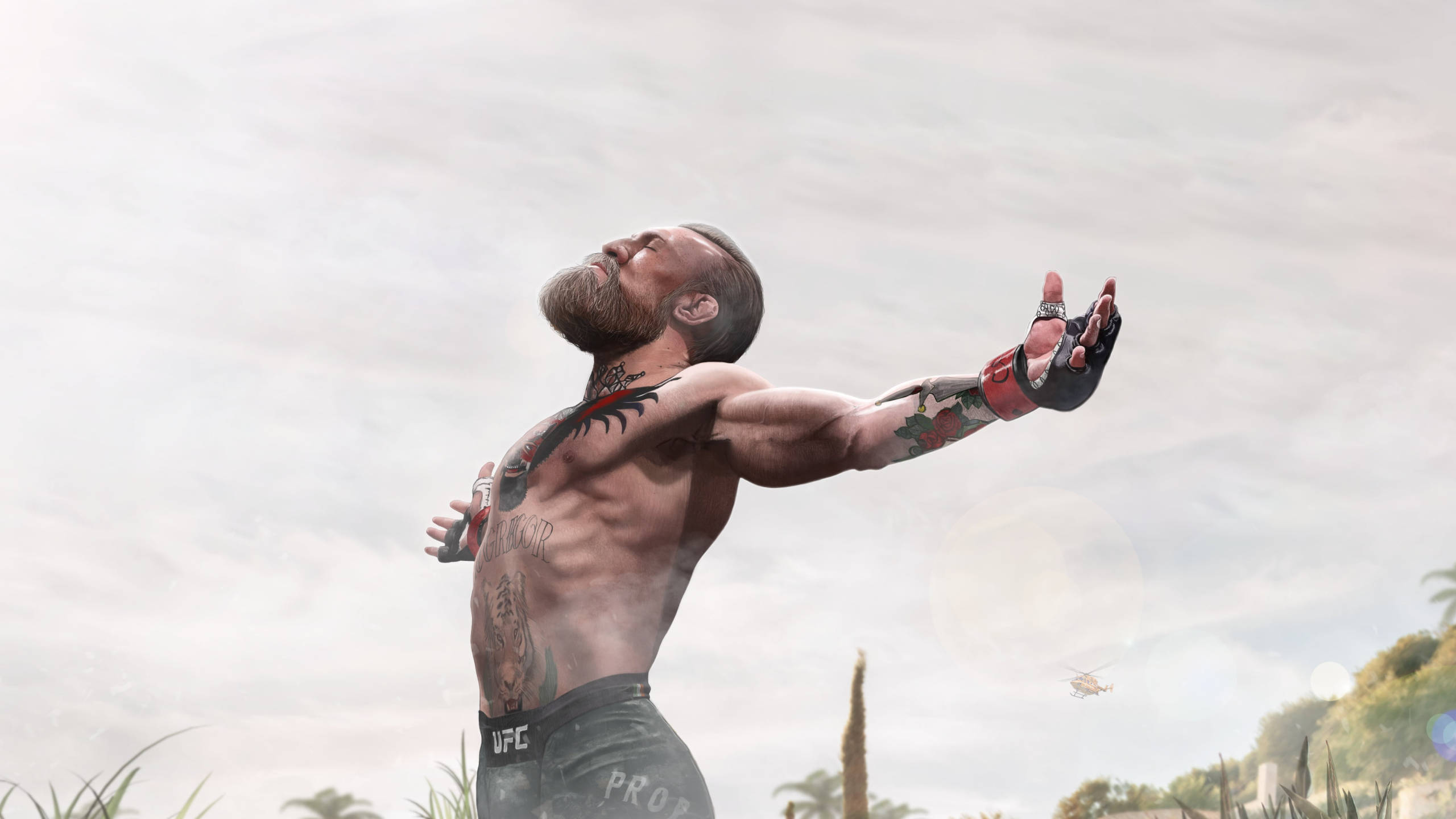 Conor Mcgregor, UFC shorts, tattooed fighter, 2K Desktop Wallpaper