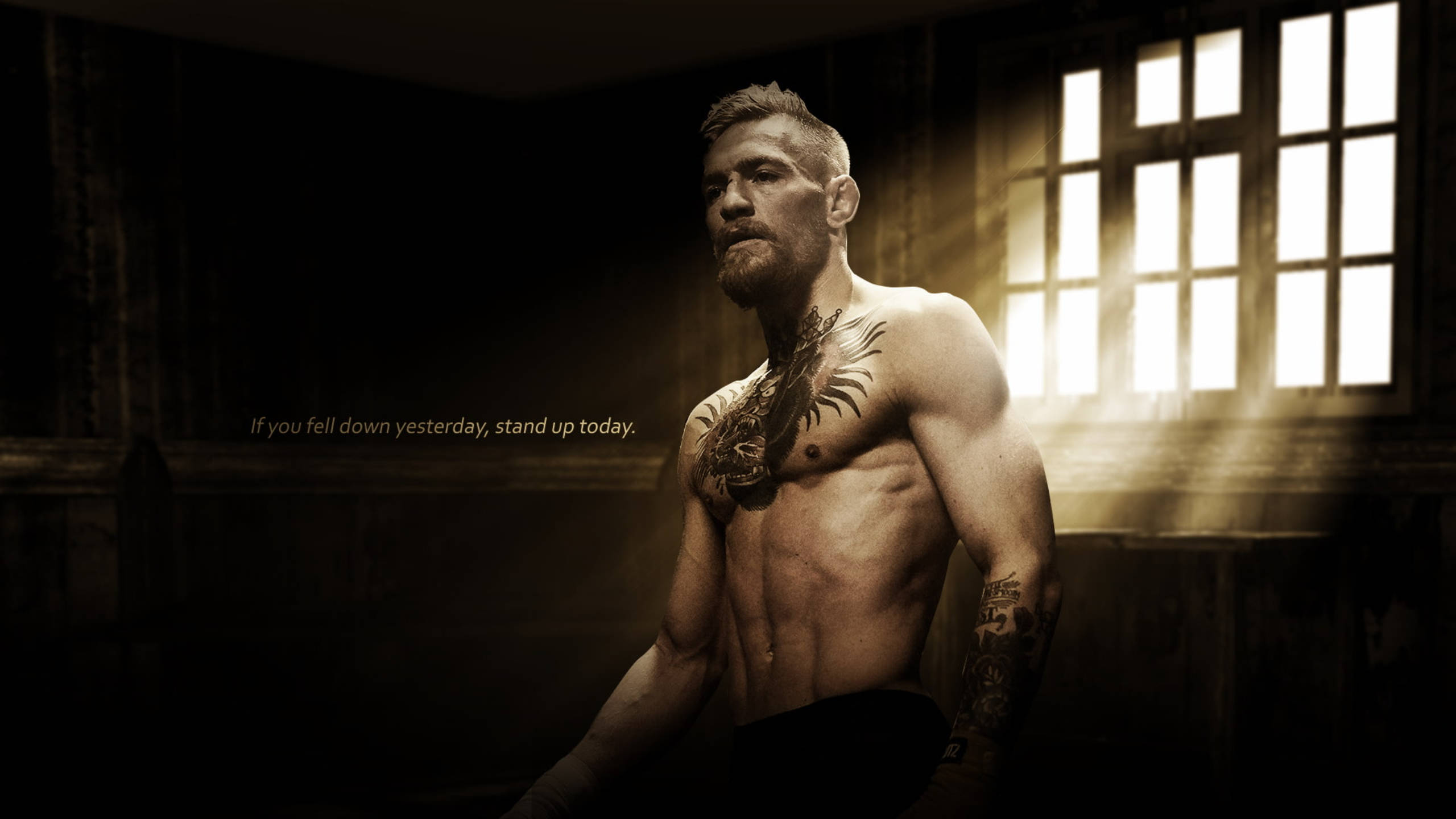 Conor Mcgregor, motivational quote, muscular tattooed man, 2K Desktop Wallpaper