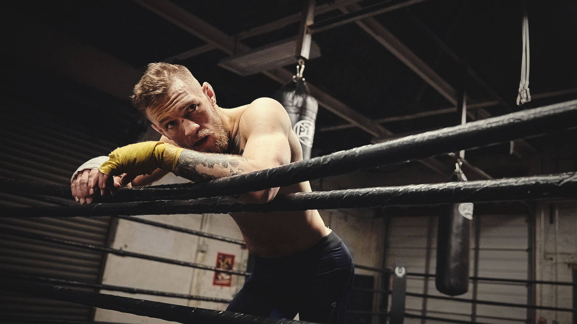Conor Mcgregor, boxing ring, yellow gloves, Full HD Desktop Wallpaper