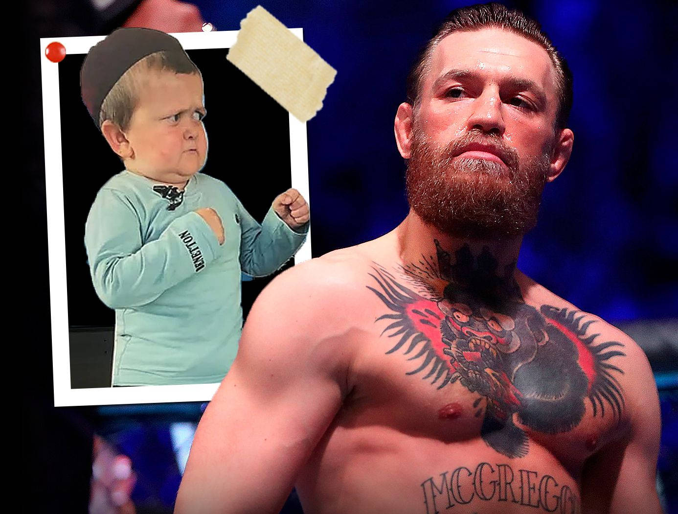 Conor McGregor, muscular fighter, chest tattoo, HD Desktop Wallpaper